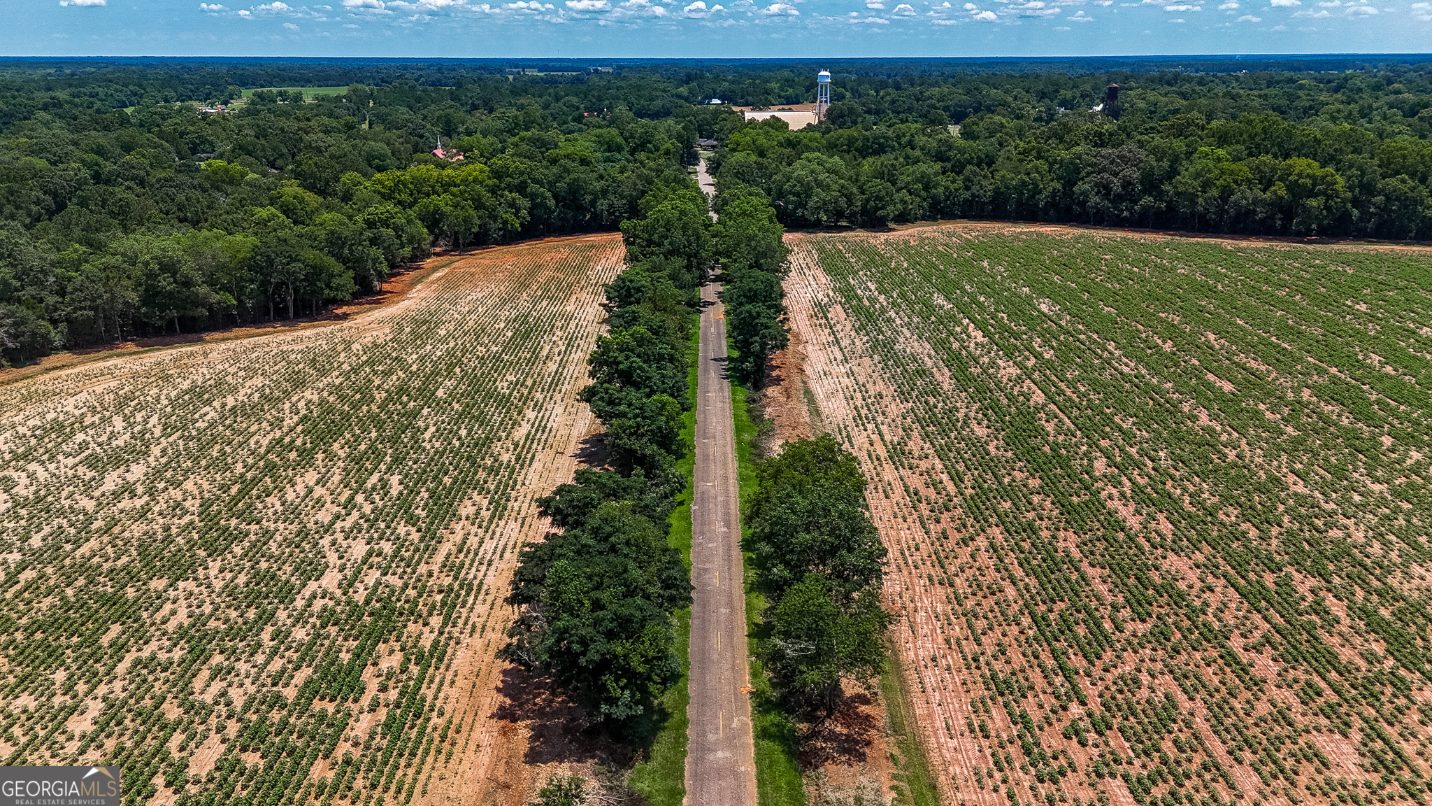 0 Pine Street Edison GA 39846