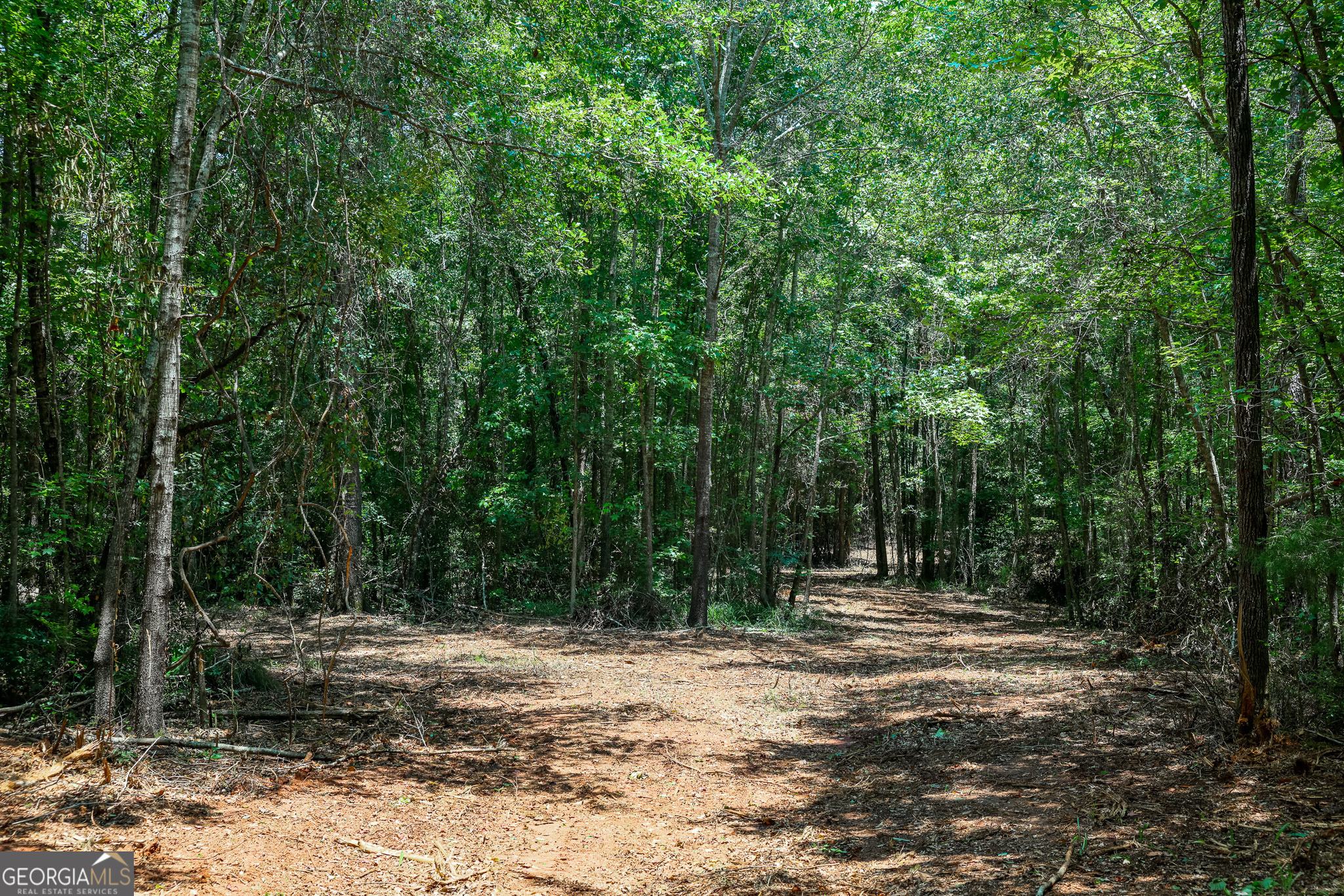 0 Pine Street Edison GA 39846