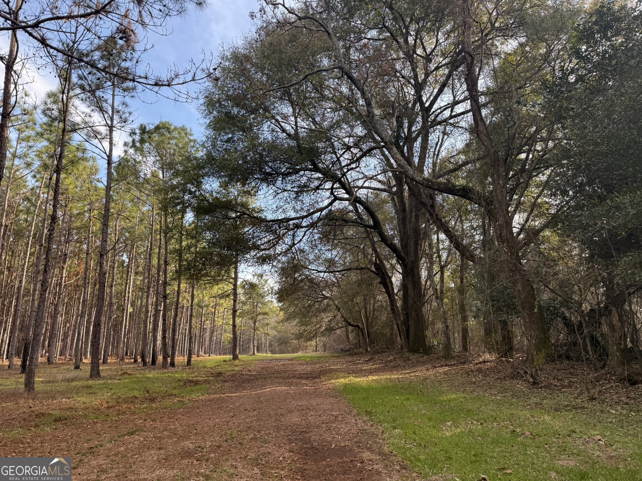 014 Highway 45 Plains GA 31780