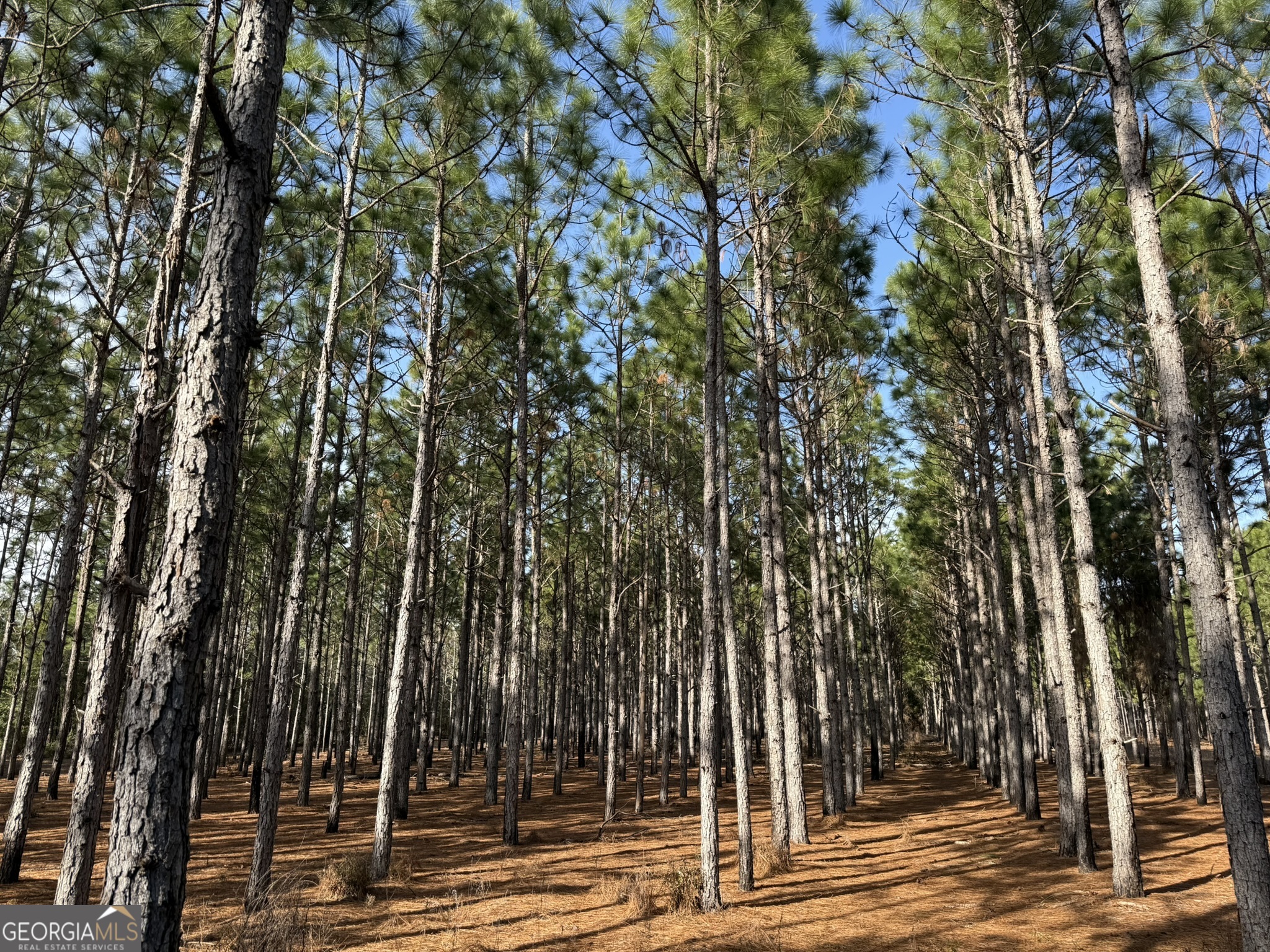 014 Highway 45 Plains GA 31780