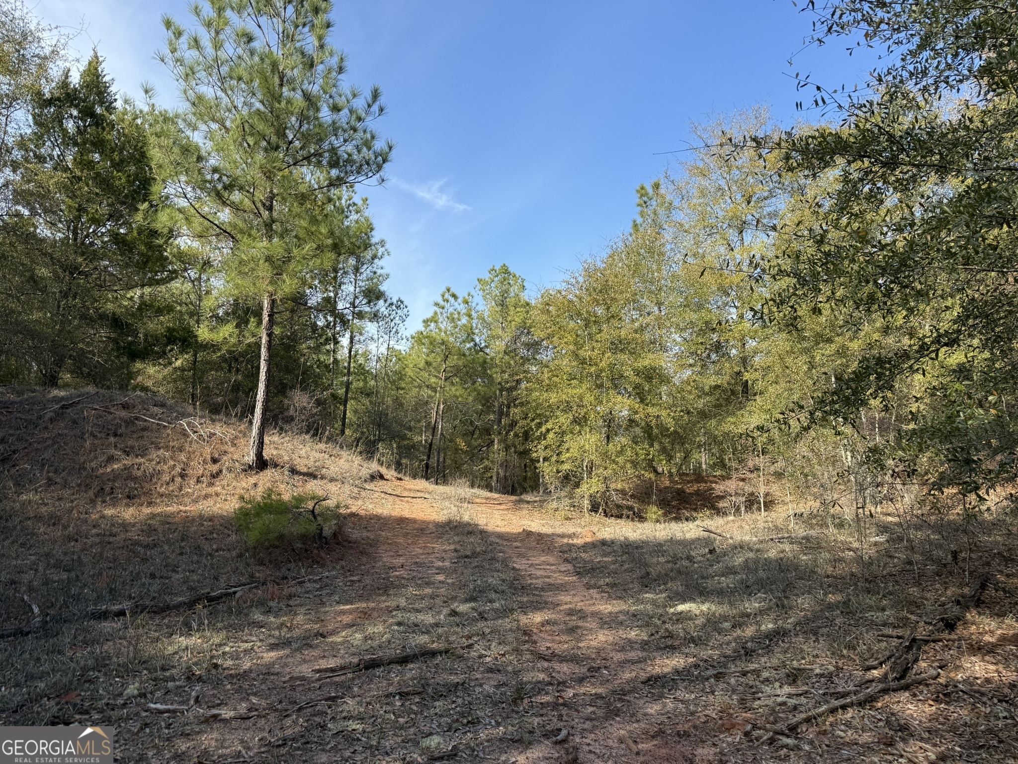 014 Highway 45 Plains GA 31780
