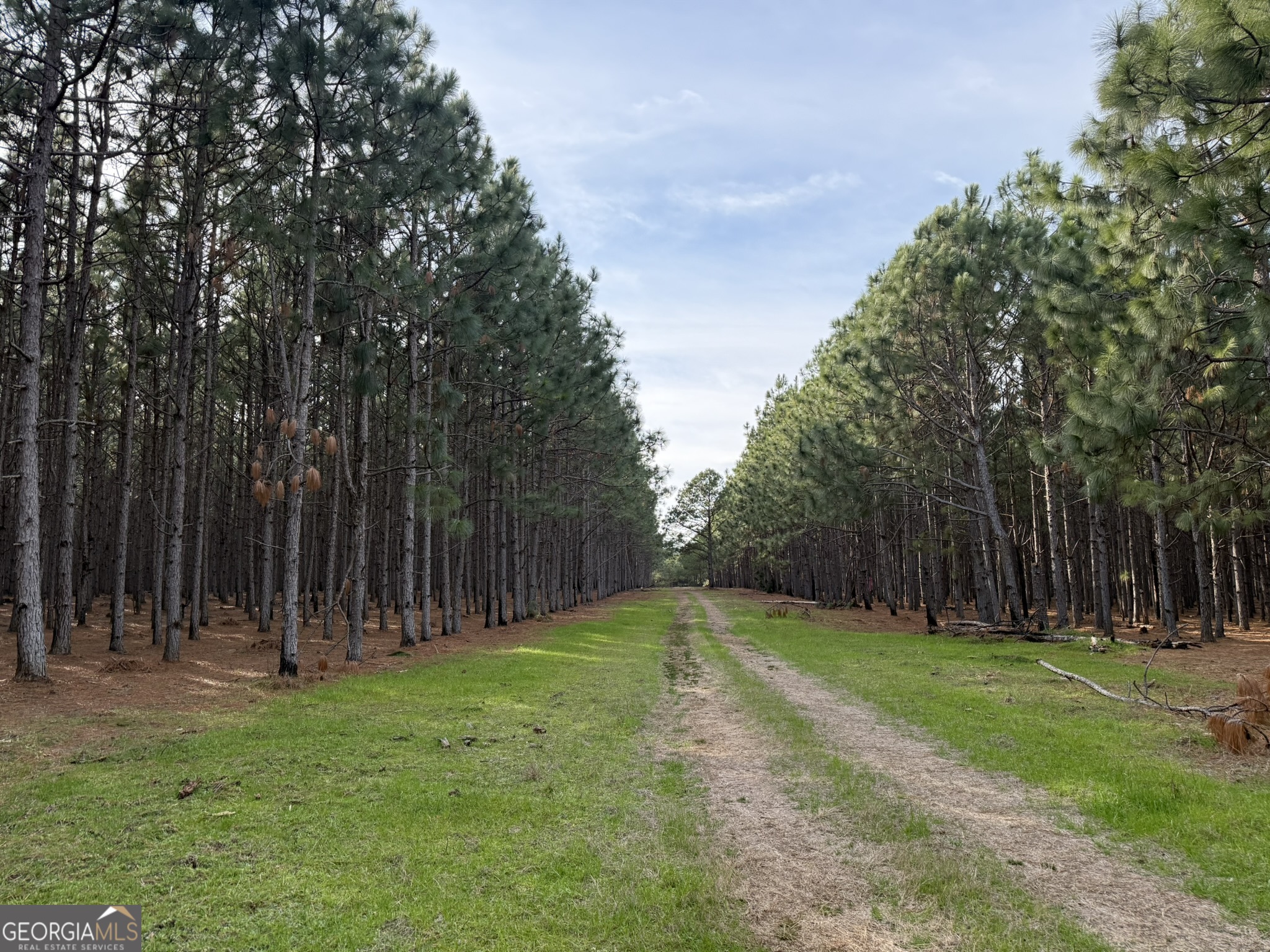 014 Highway 45 Plains GA 31780