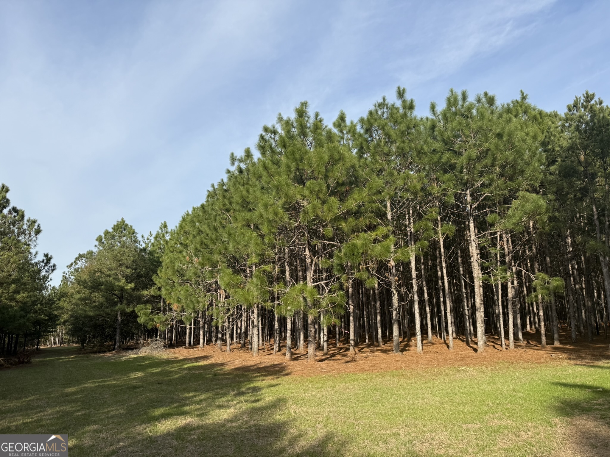 014 Highway 45 Plains GA 31780
