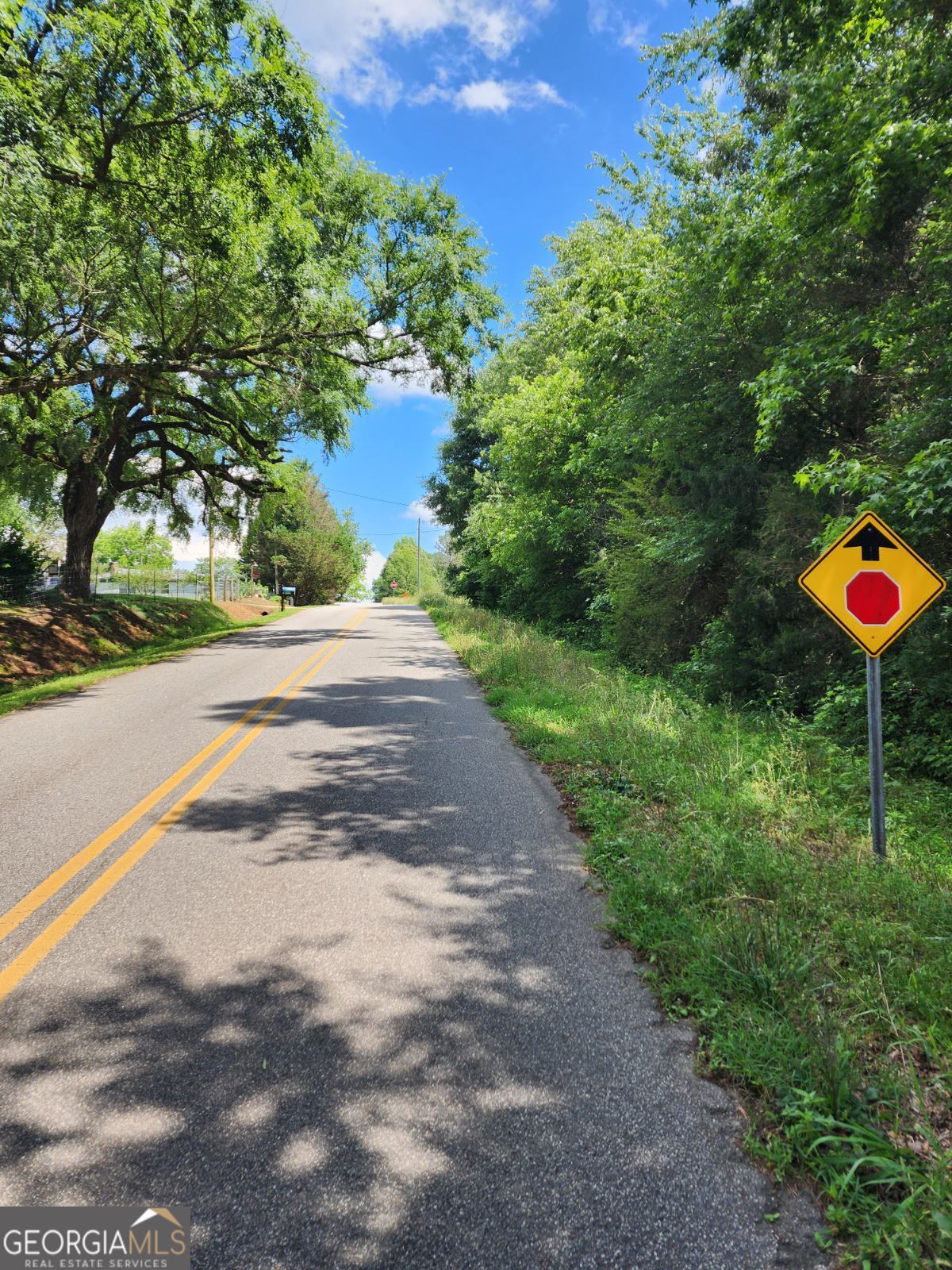 0 Highway 191 Danielsville GA 30633