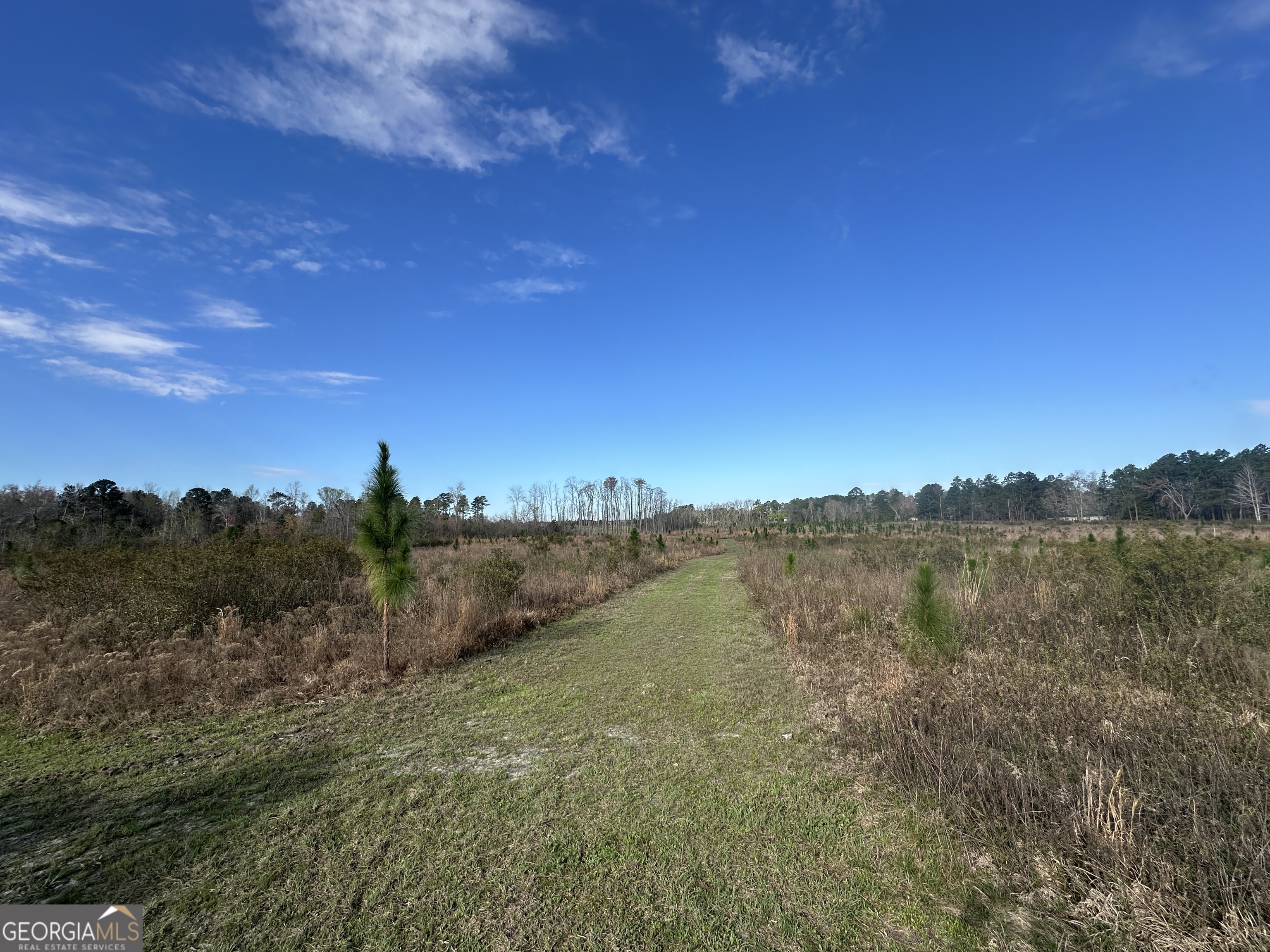1334 Shady Lane Sylvania GA 30467