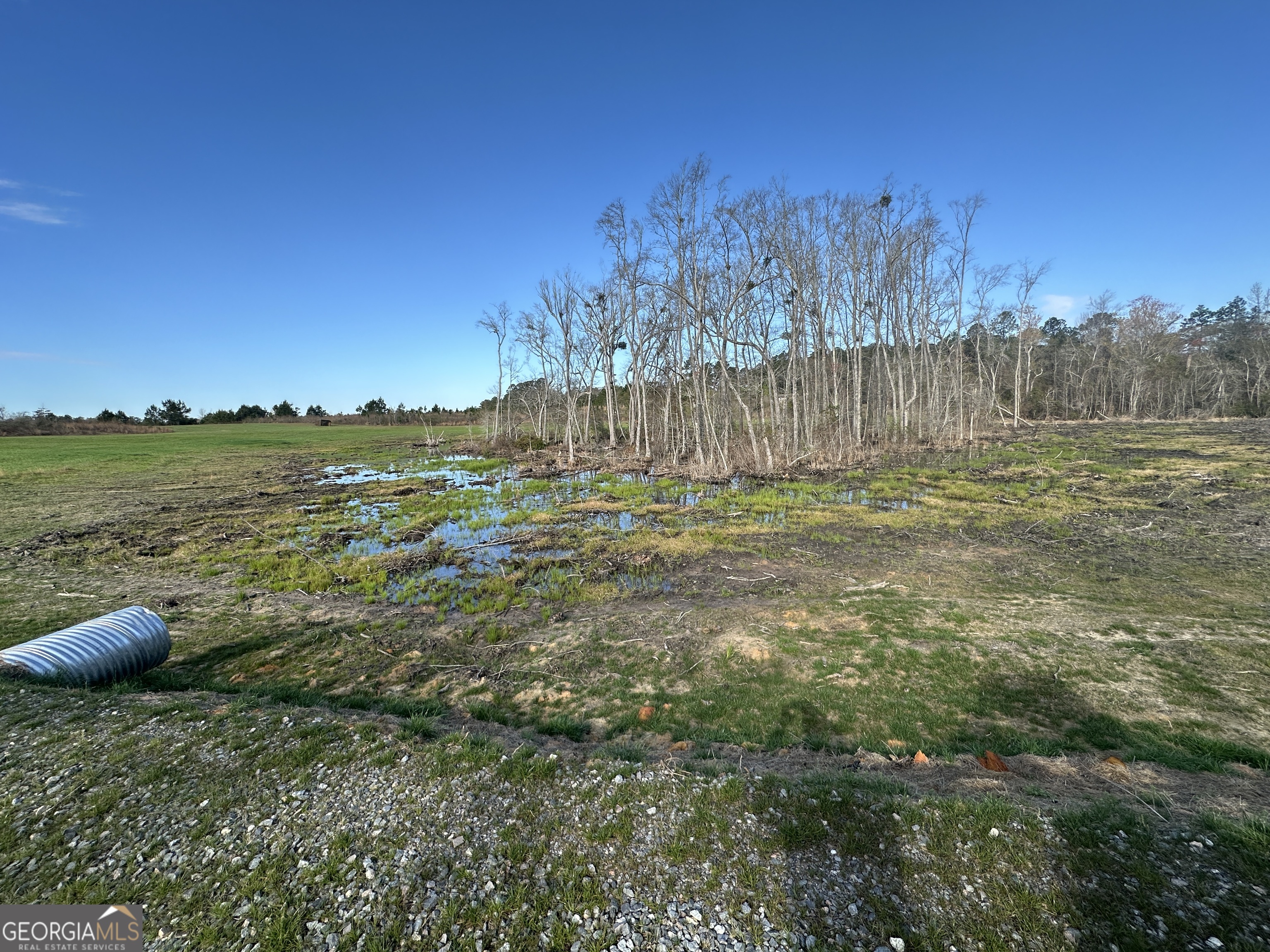 1334 Shady Lane Sylvania GA 30467