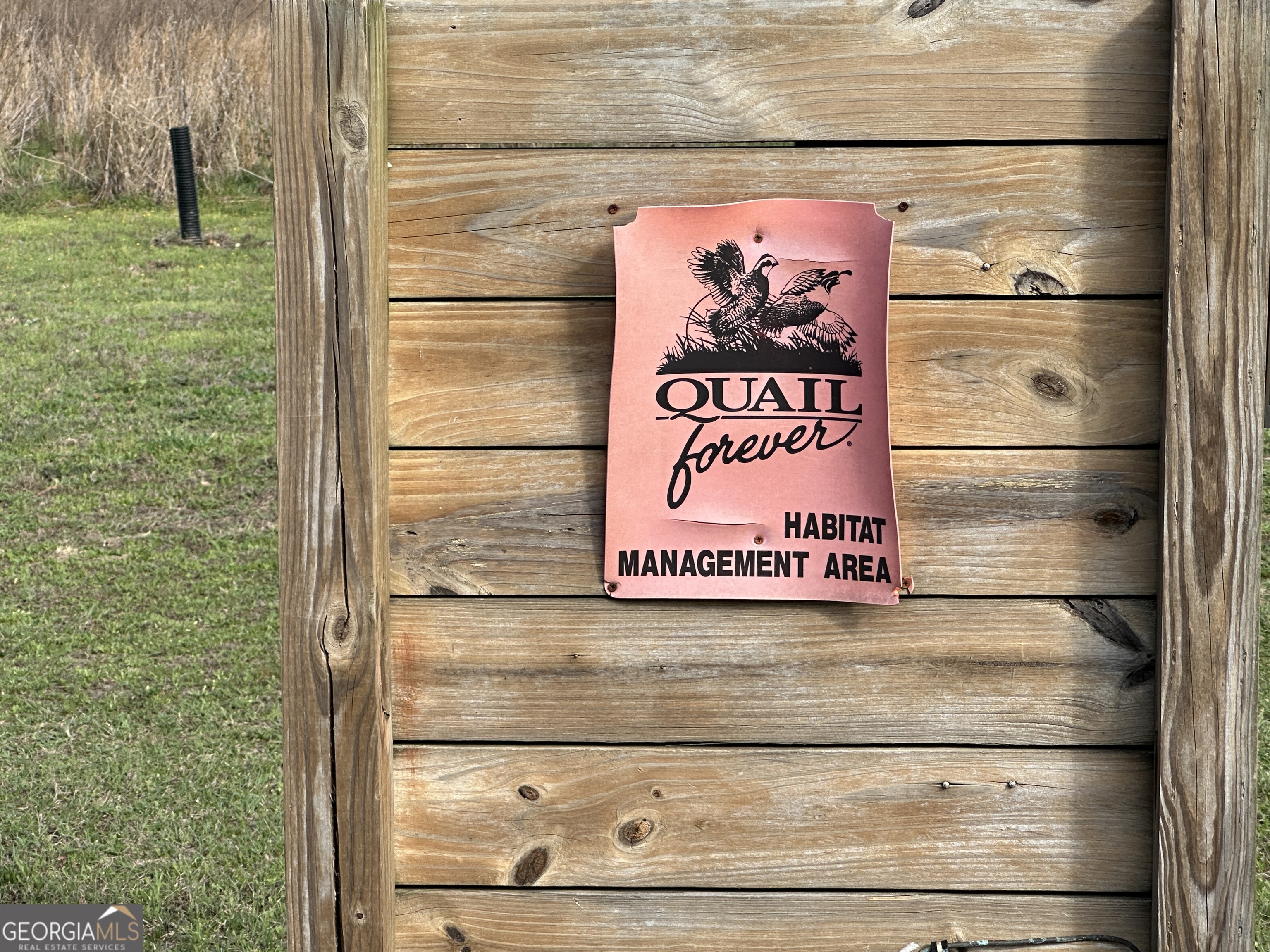 1334 Shady Lane Sylvania GA 30467