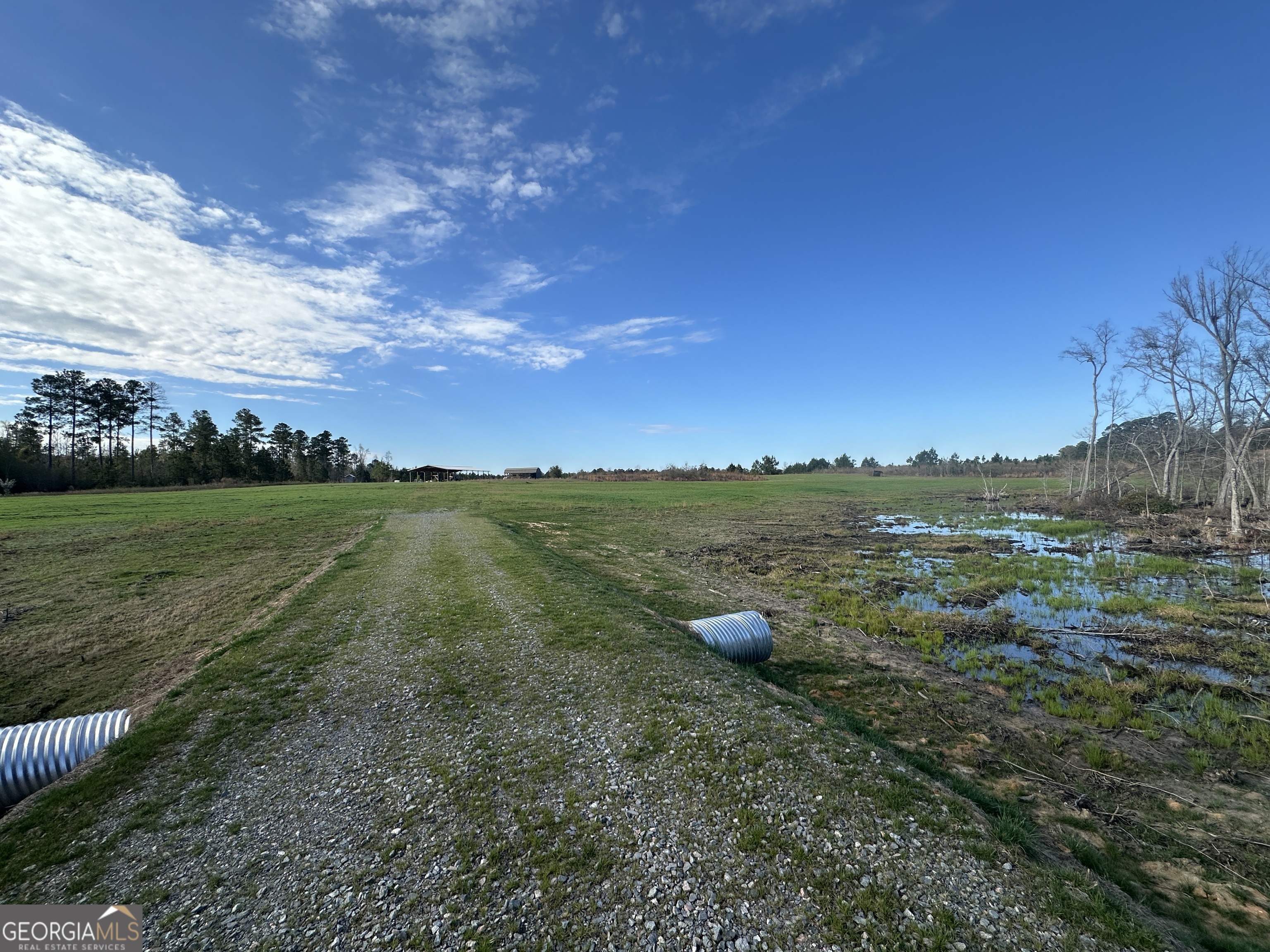 1334 Shady Lane Sylvania GA 30467