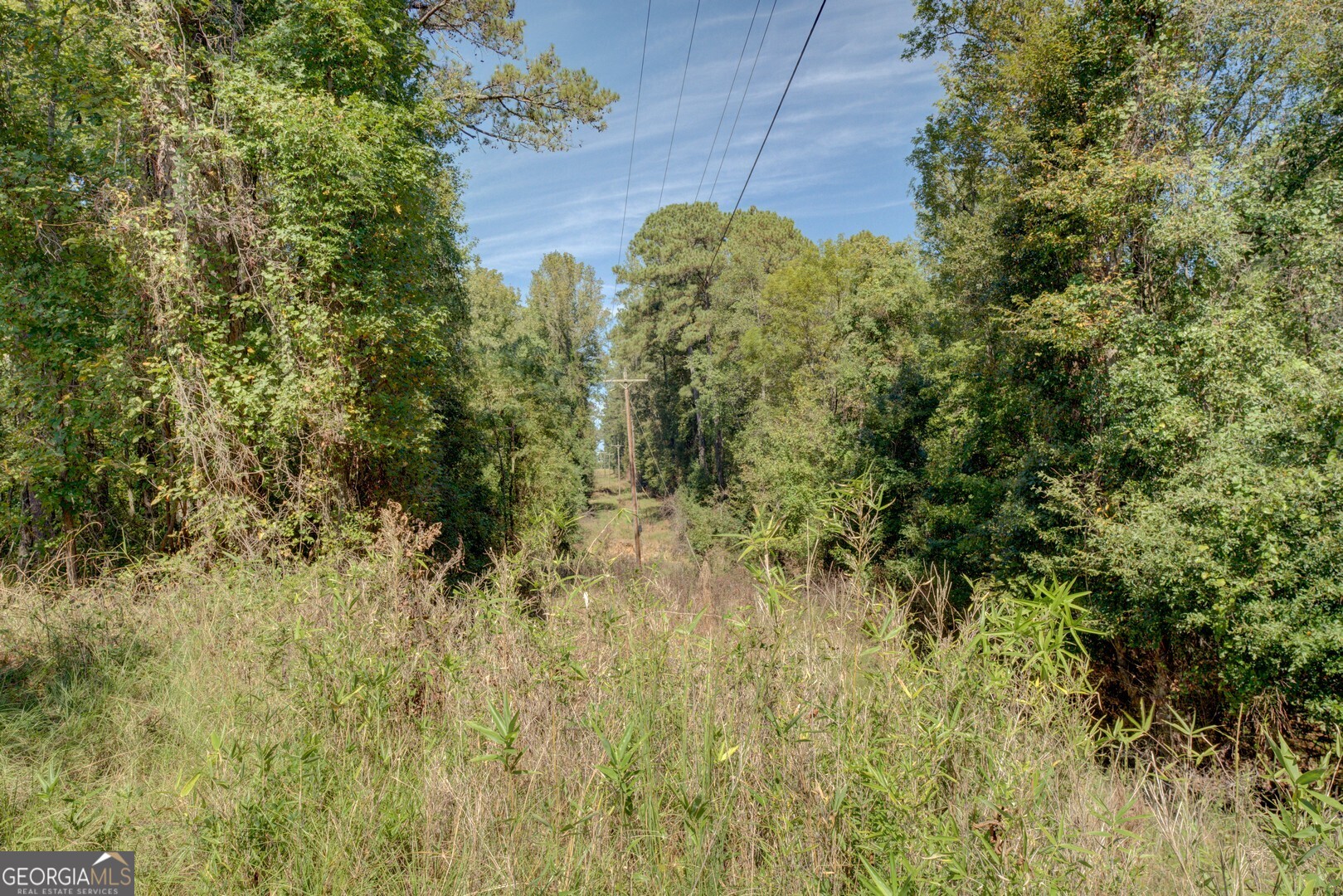 8841 Highway 11 S Monticello GA 31064