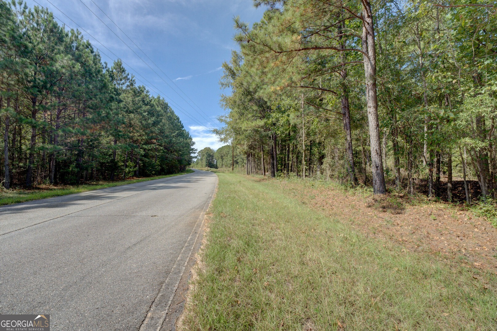 8841 Highway 11 S Monticello GA 31064