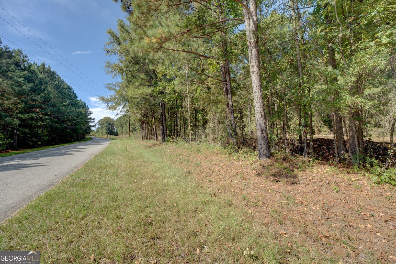 8841 Highway 11 S Monticello GA 31064