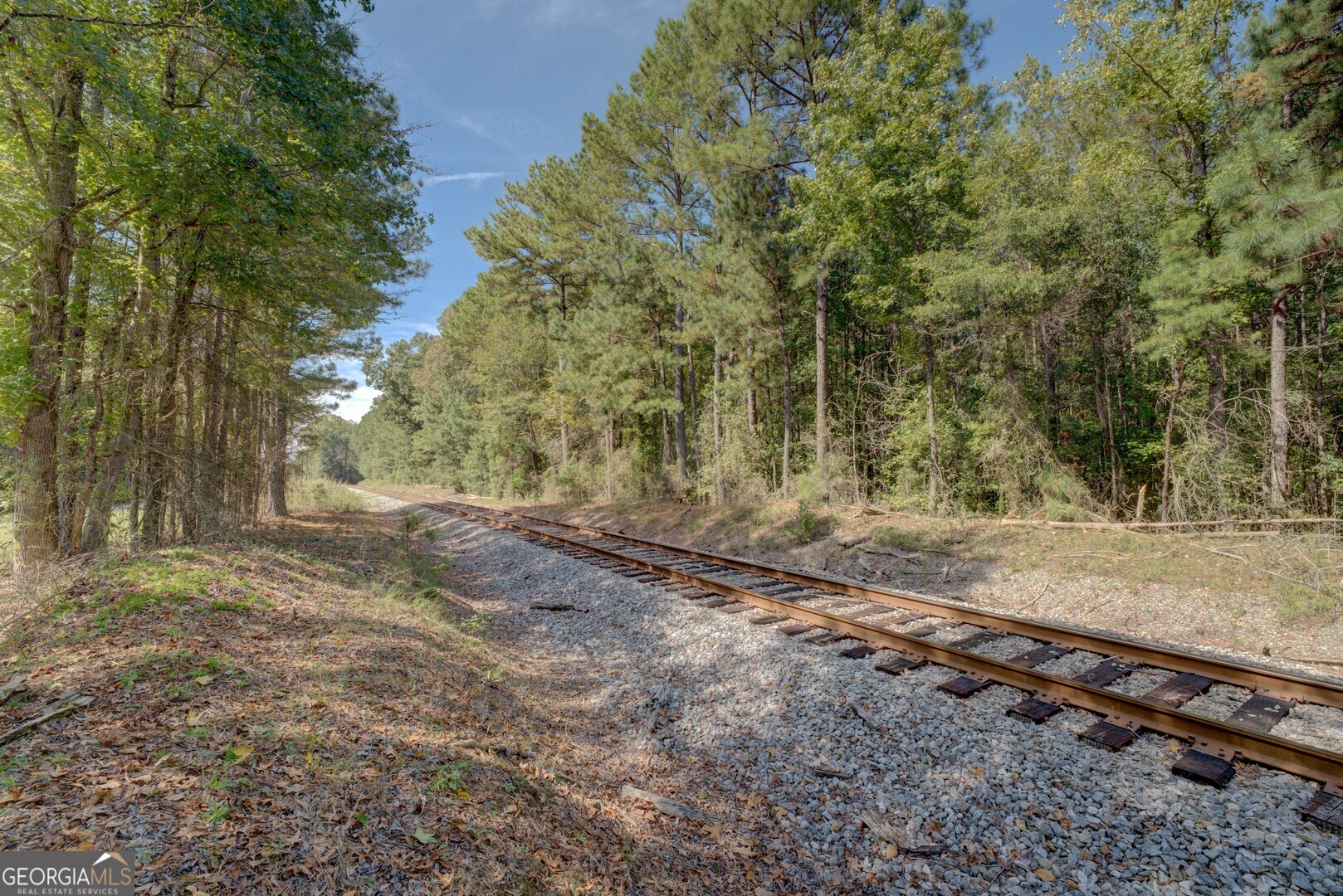 8841 Highway 11 S Monticello GA 31064