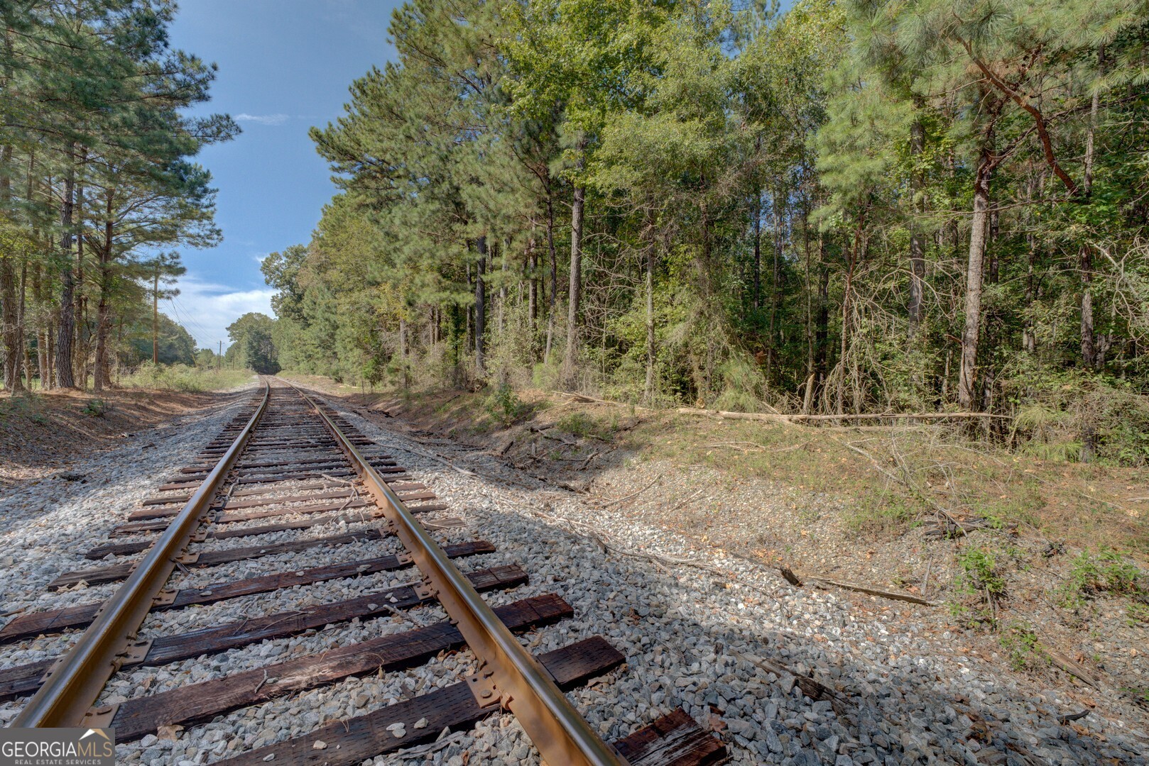 8841 Highway 11 S Monticello GA 31064