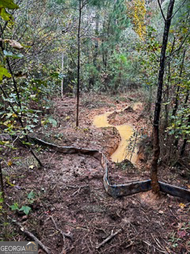 8841 Highway 11 S Monticello GA 31064