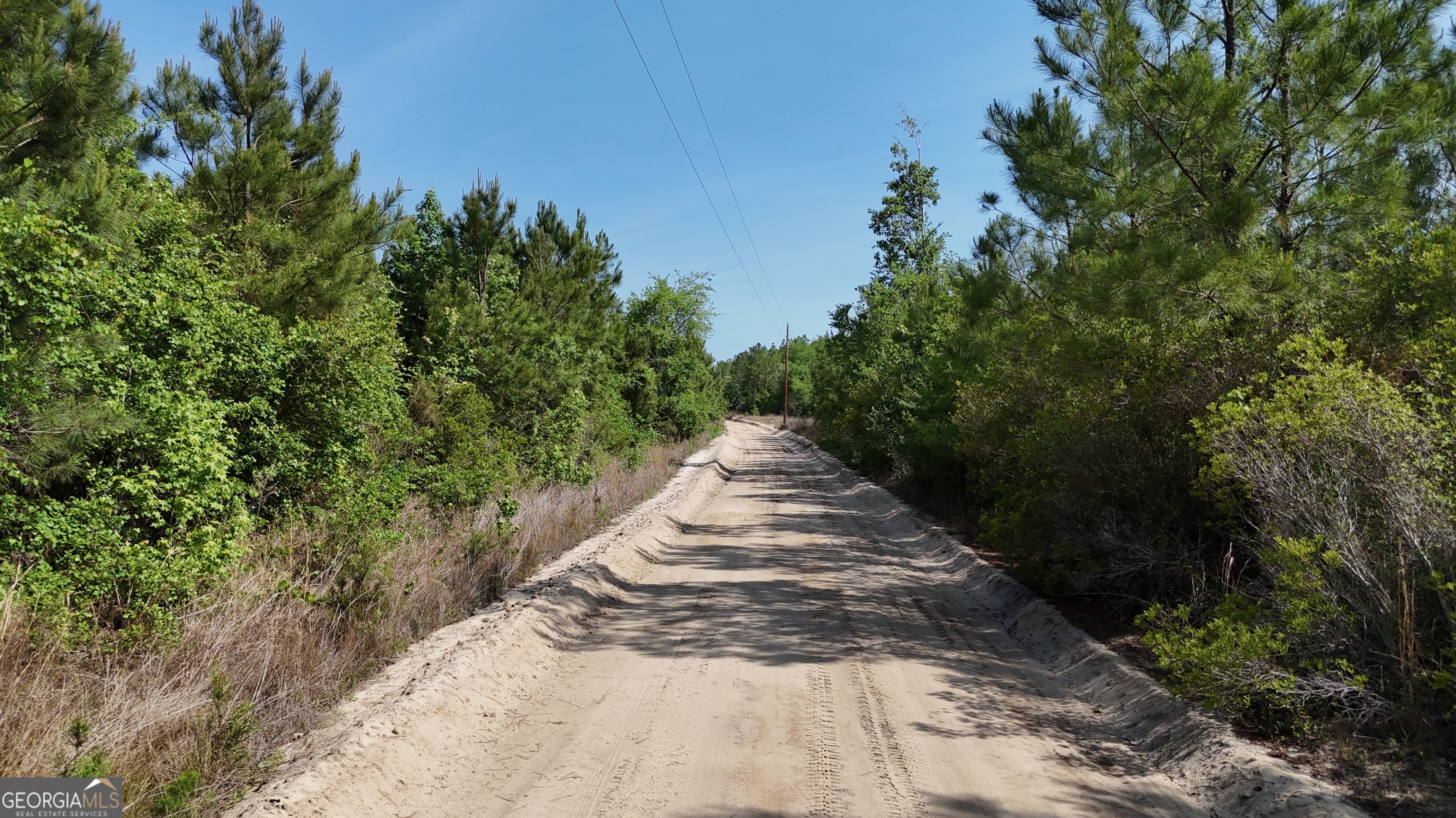 0 Tillman Cemetery Road Lumber City GA 31549