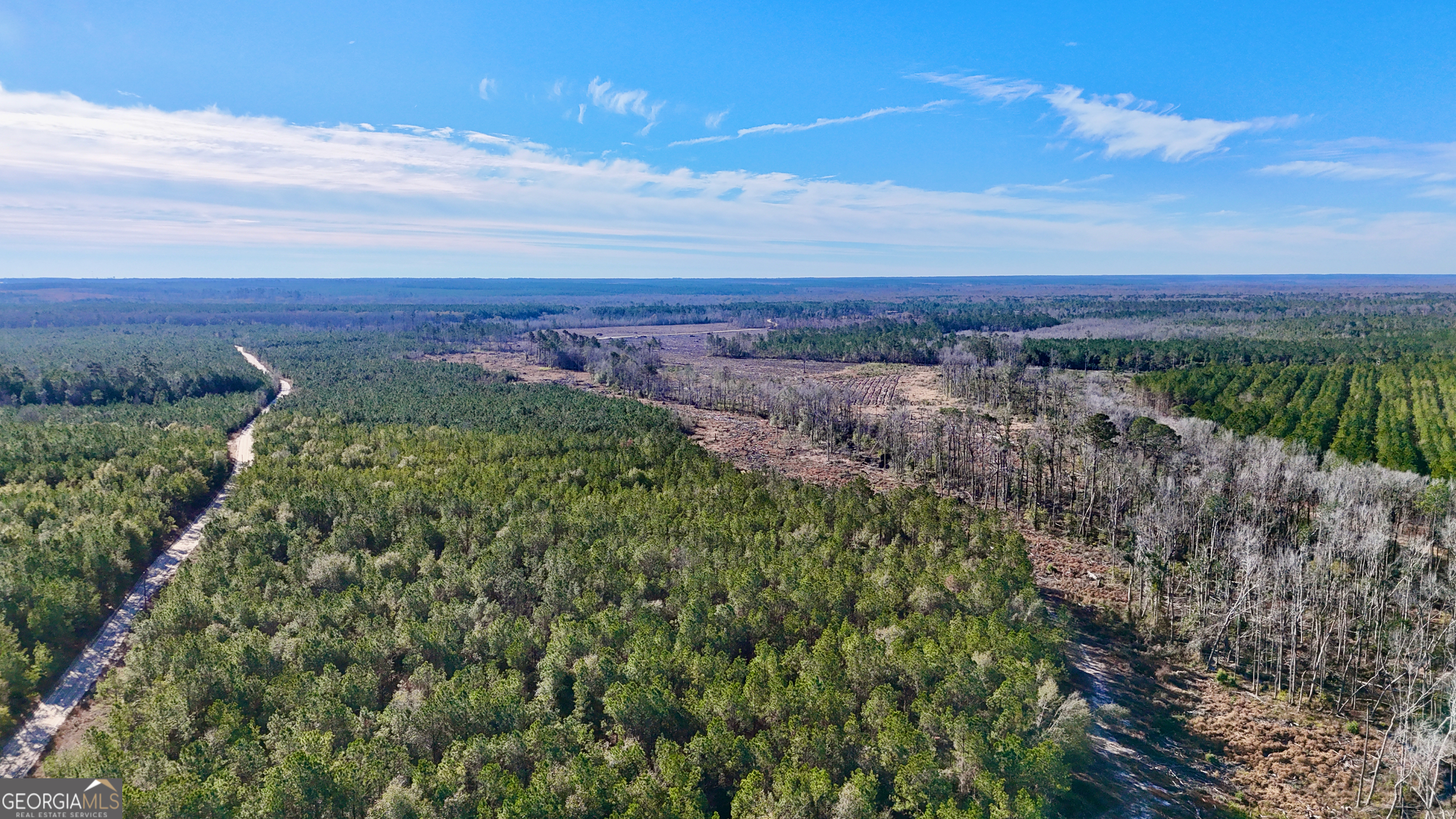 0 Tillman Cemetery Road Lumber City GA 31549