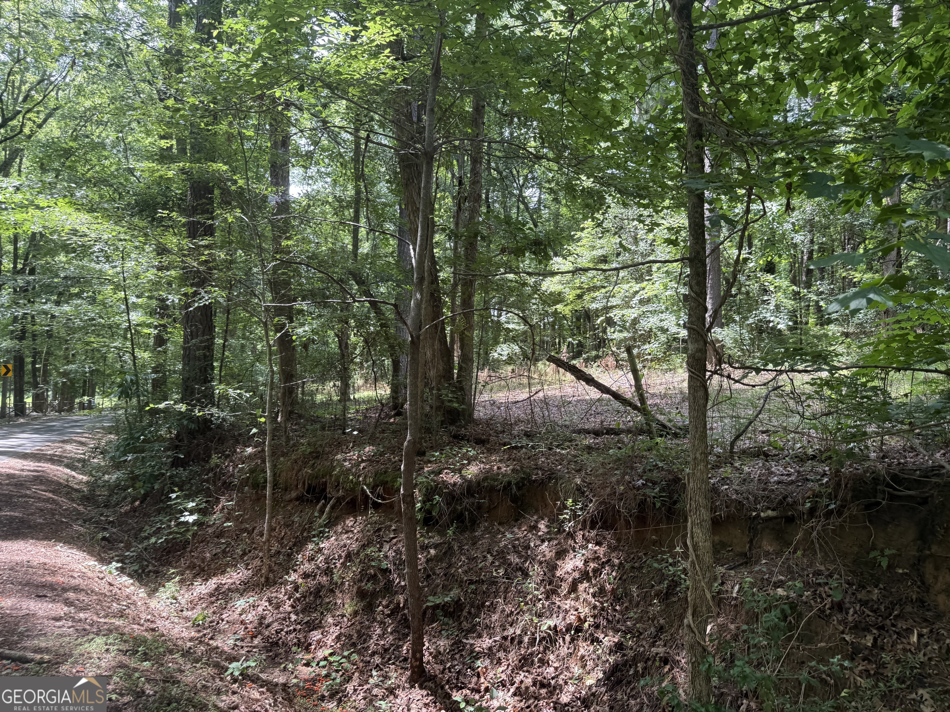 0 Turner Road Hampton GA 30228