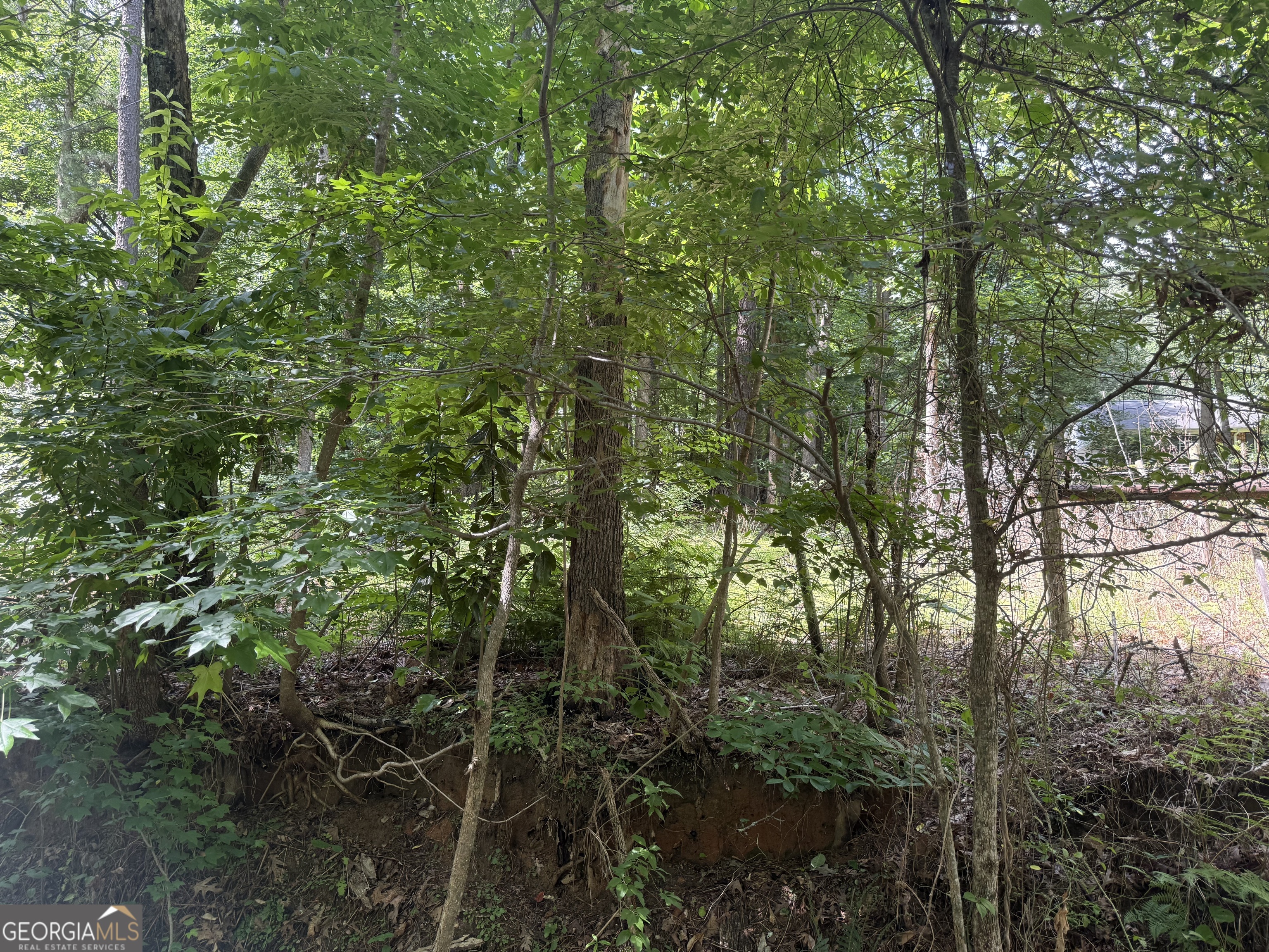 0 Turner Road Hampton GA 30228