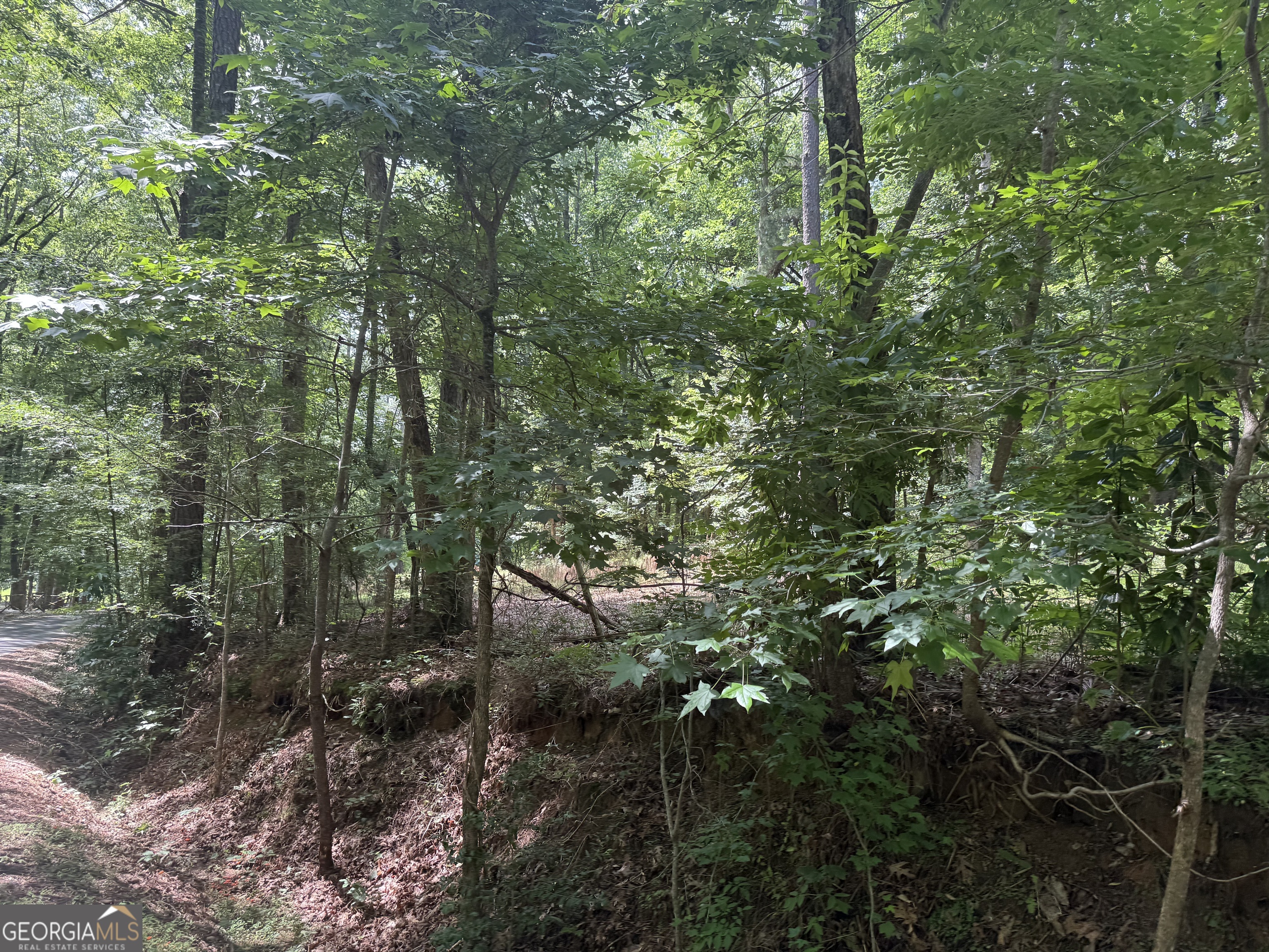 0 Turner Road Hampton GA 30228