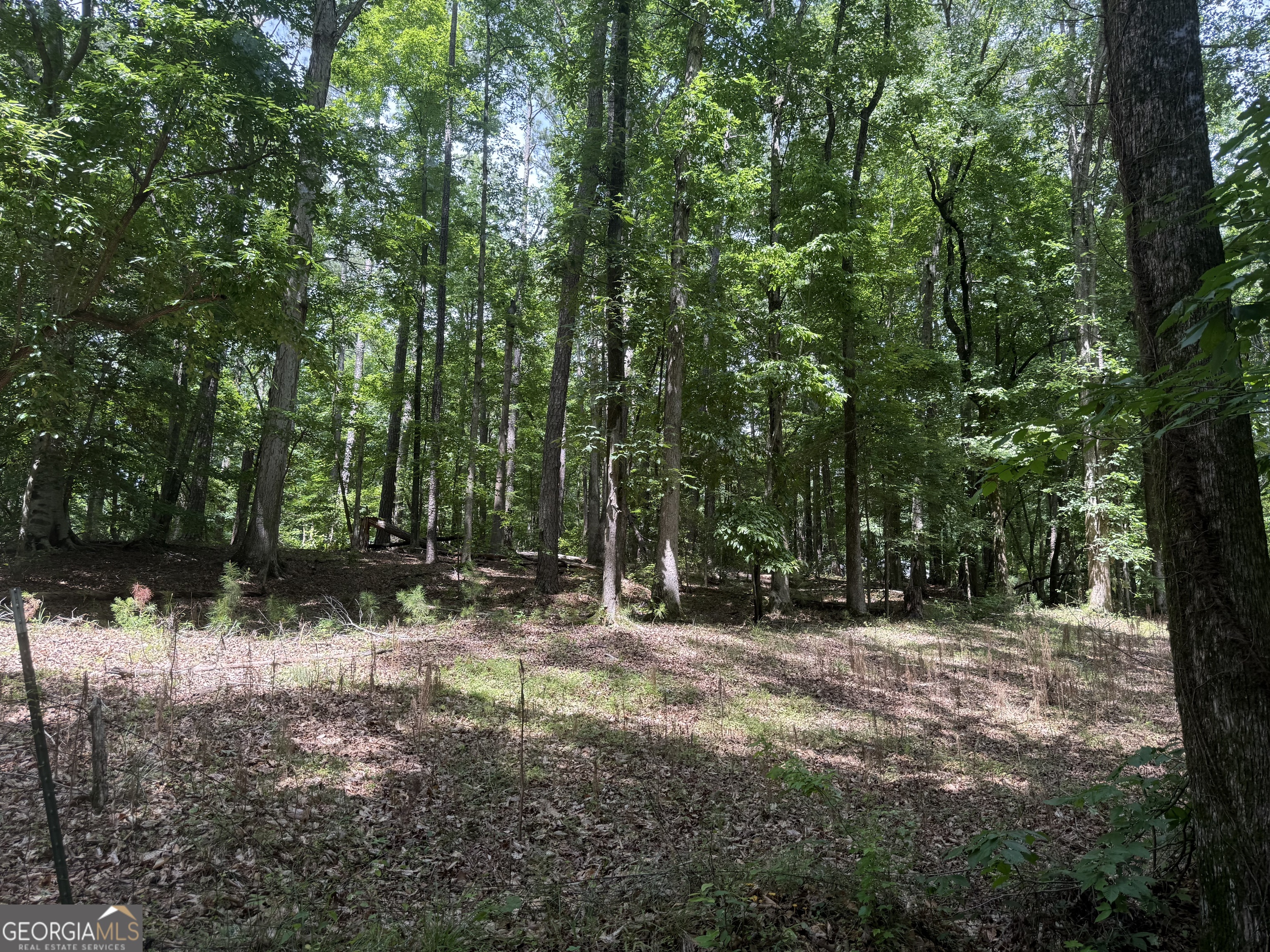 0 Turner Road Hampton GA 30228