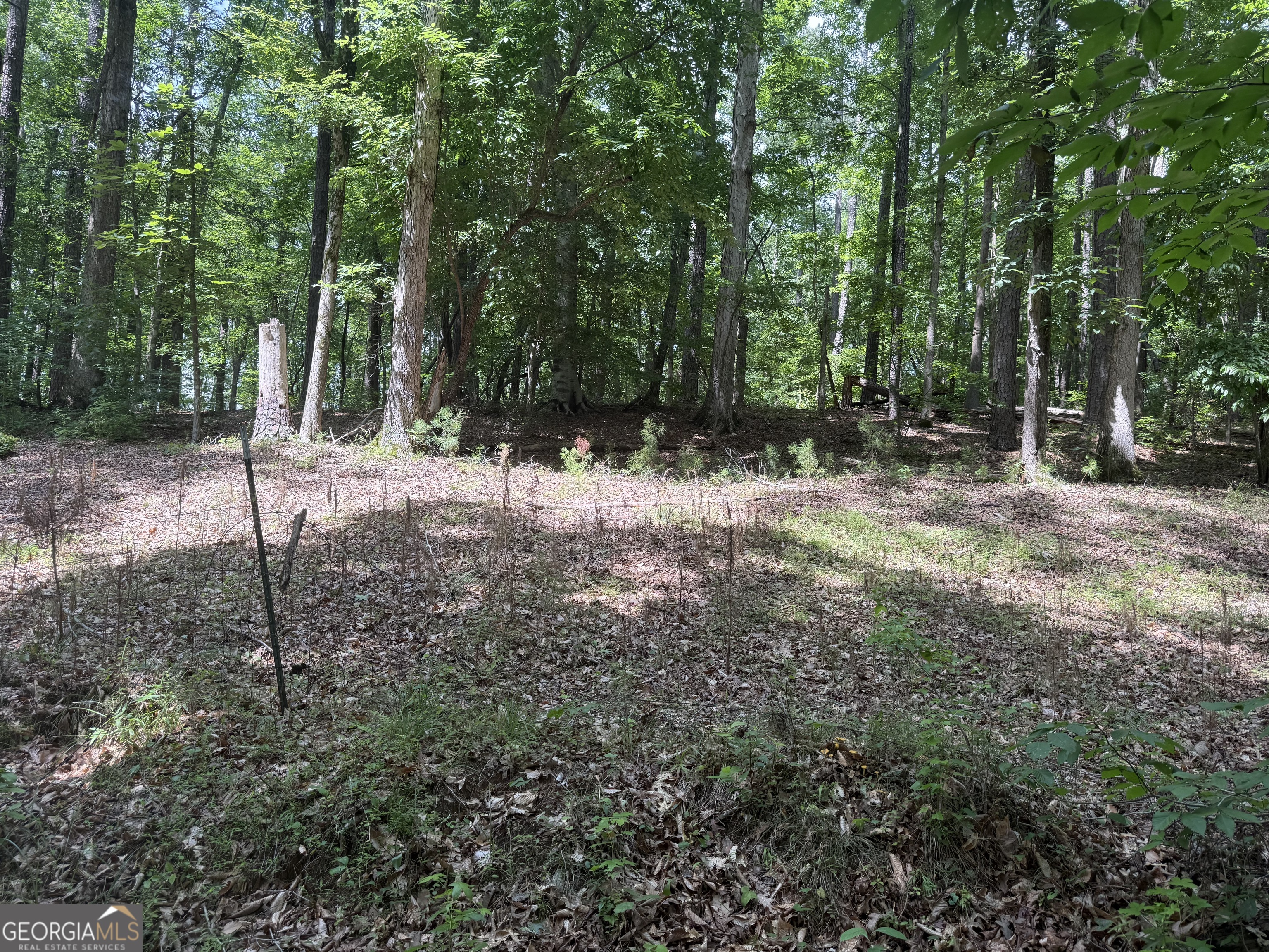 0 Turner Road Hampton GA 30228