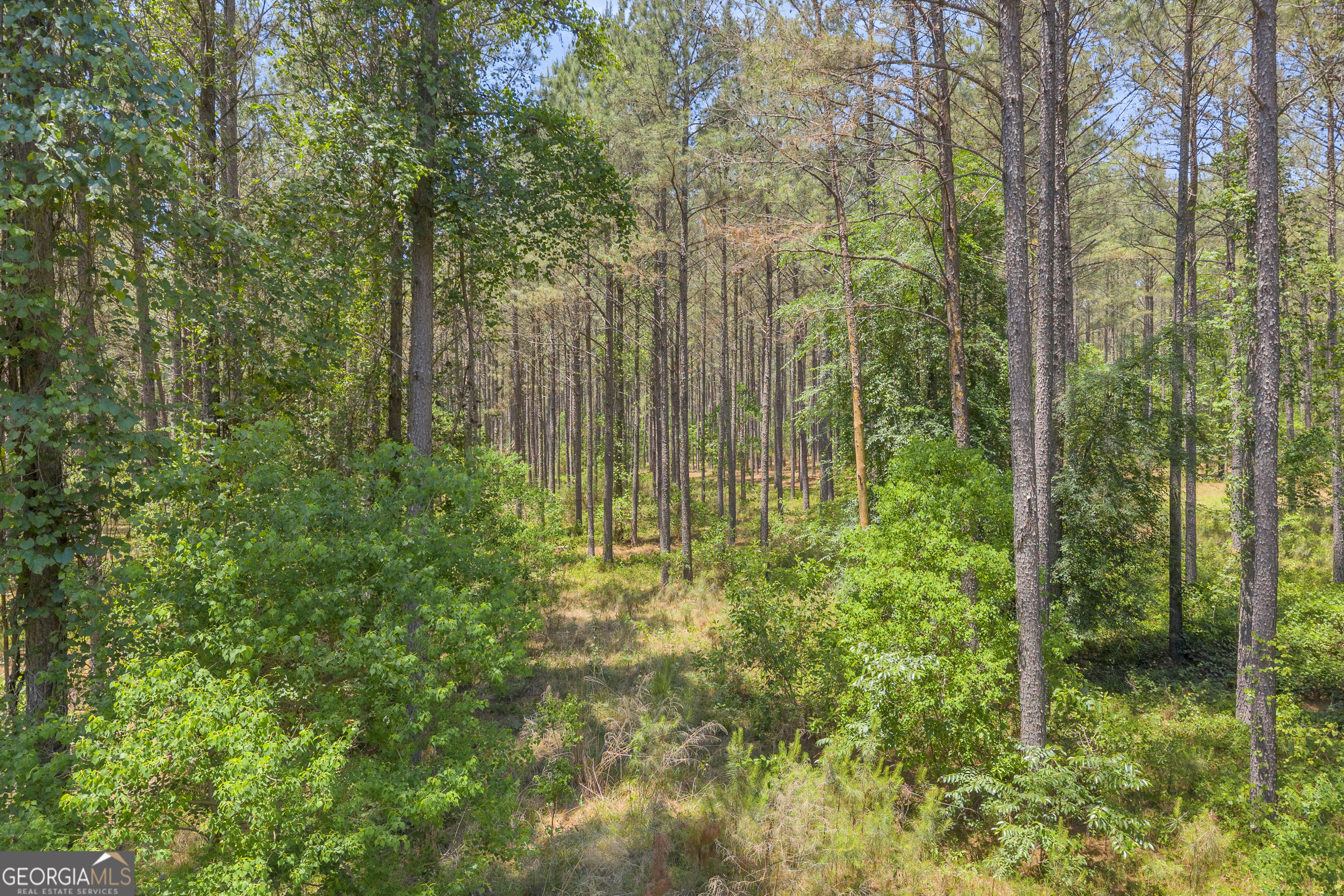 0 Hidden Harbor Road Lincolnton GA 30817