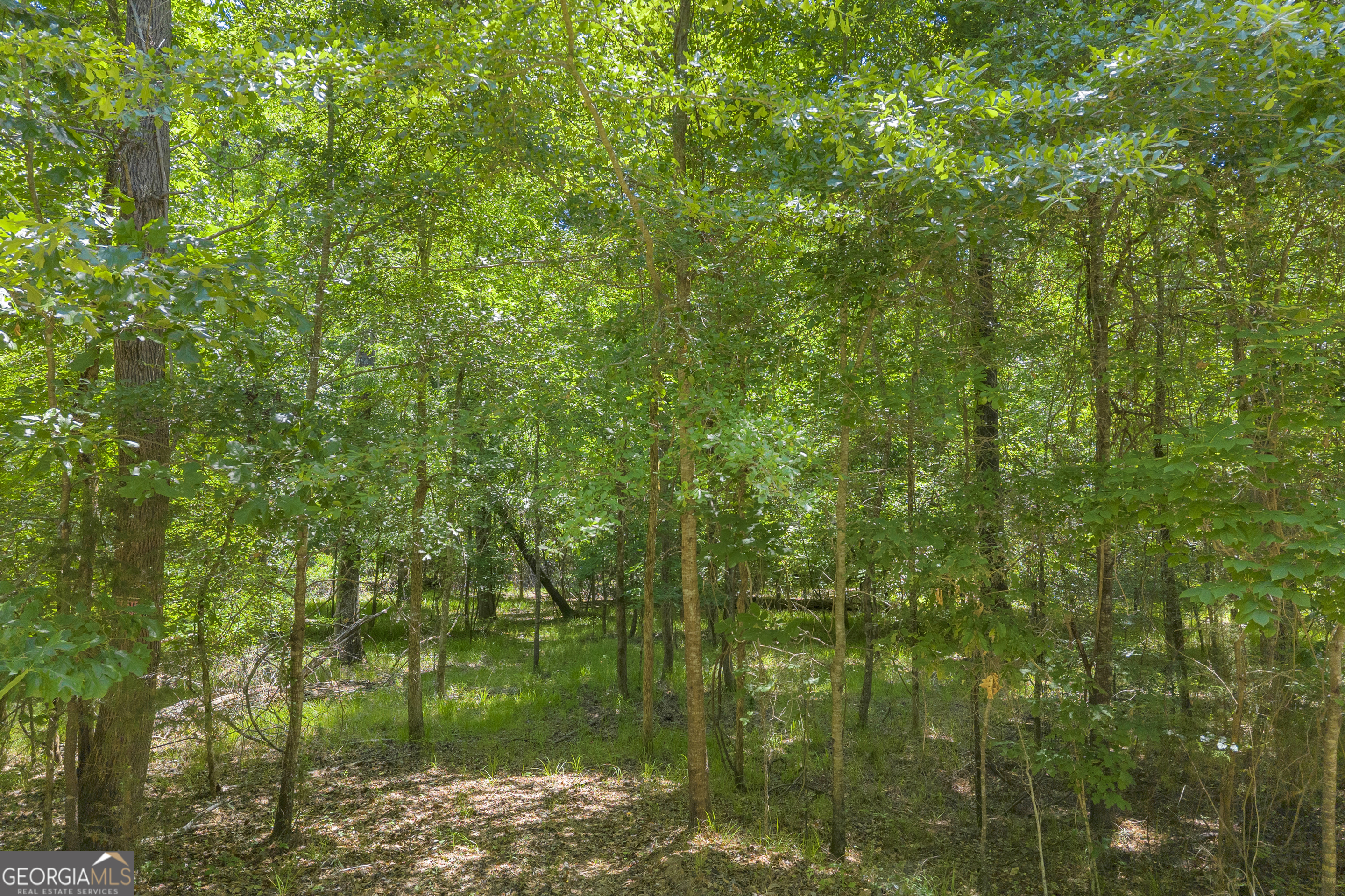 0 Hidden Harbor Road Lincolnton GA 30817