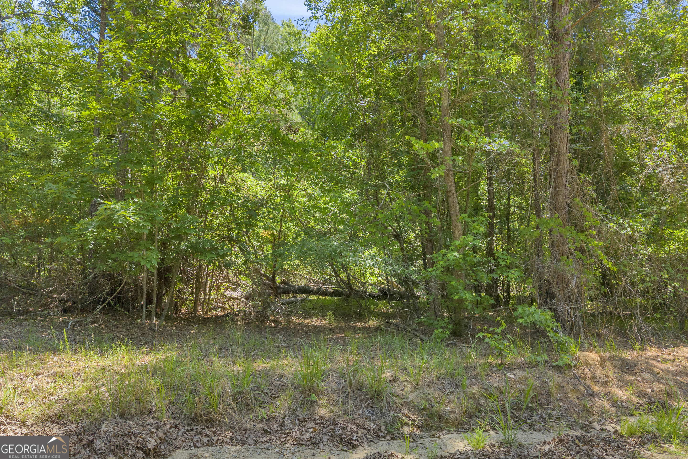 0 Hidden Harbor Road Lincolnton GA 30817