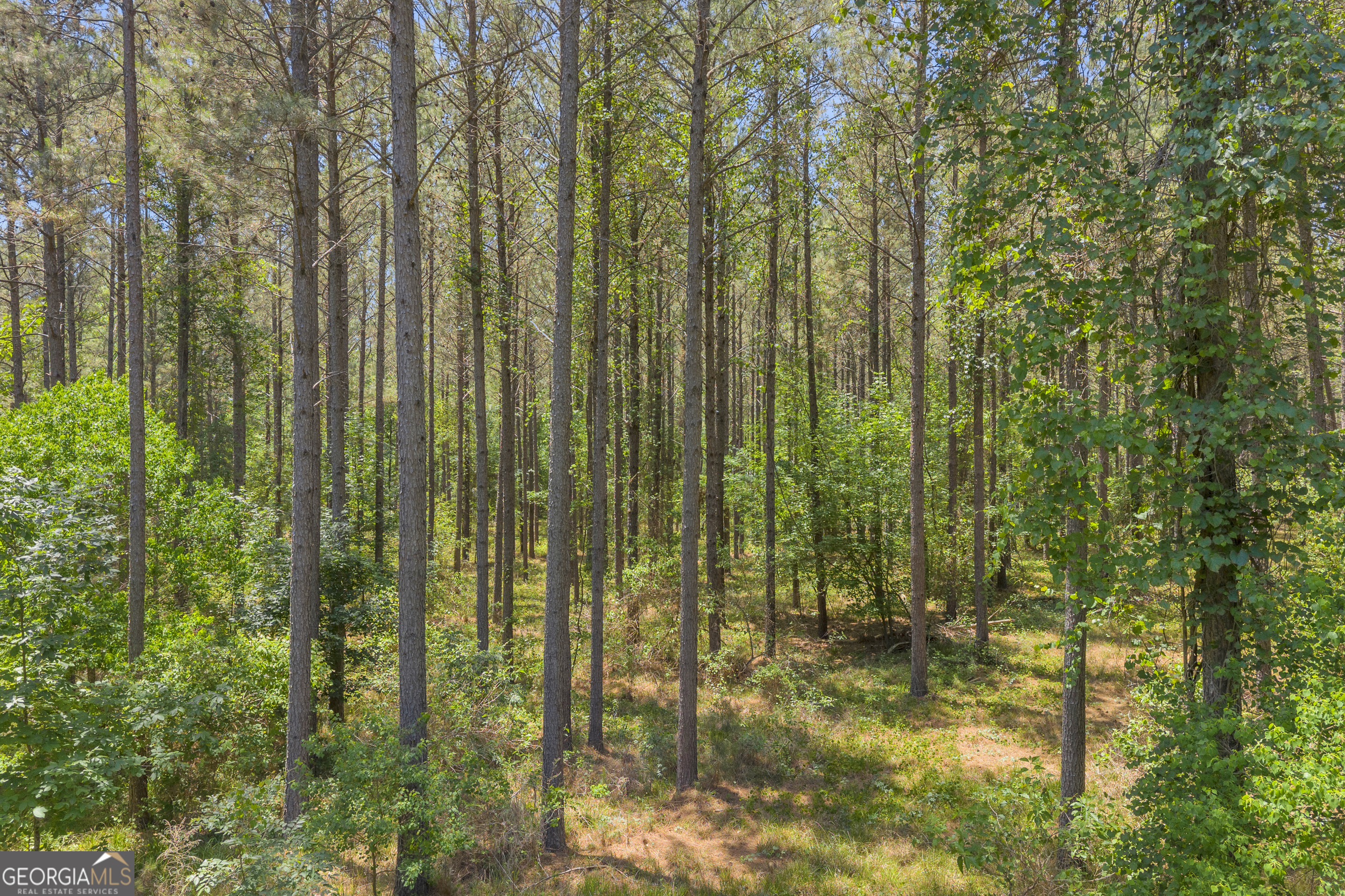 0 Hidden Harbor Road Lincolnton GA 30817