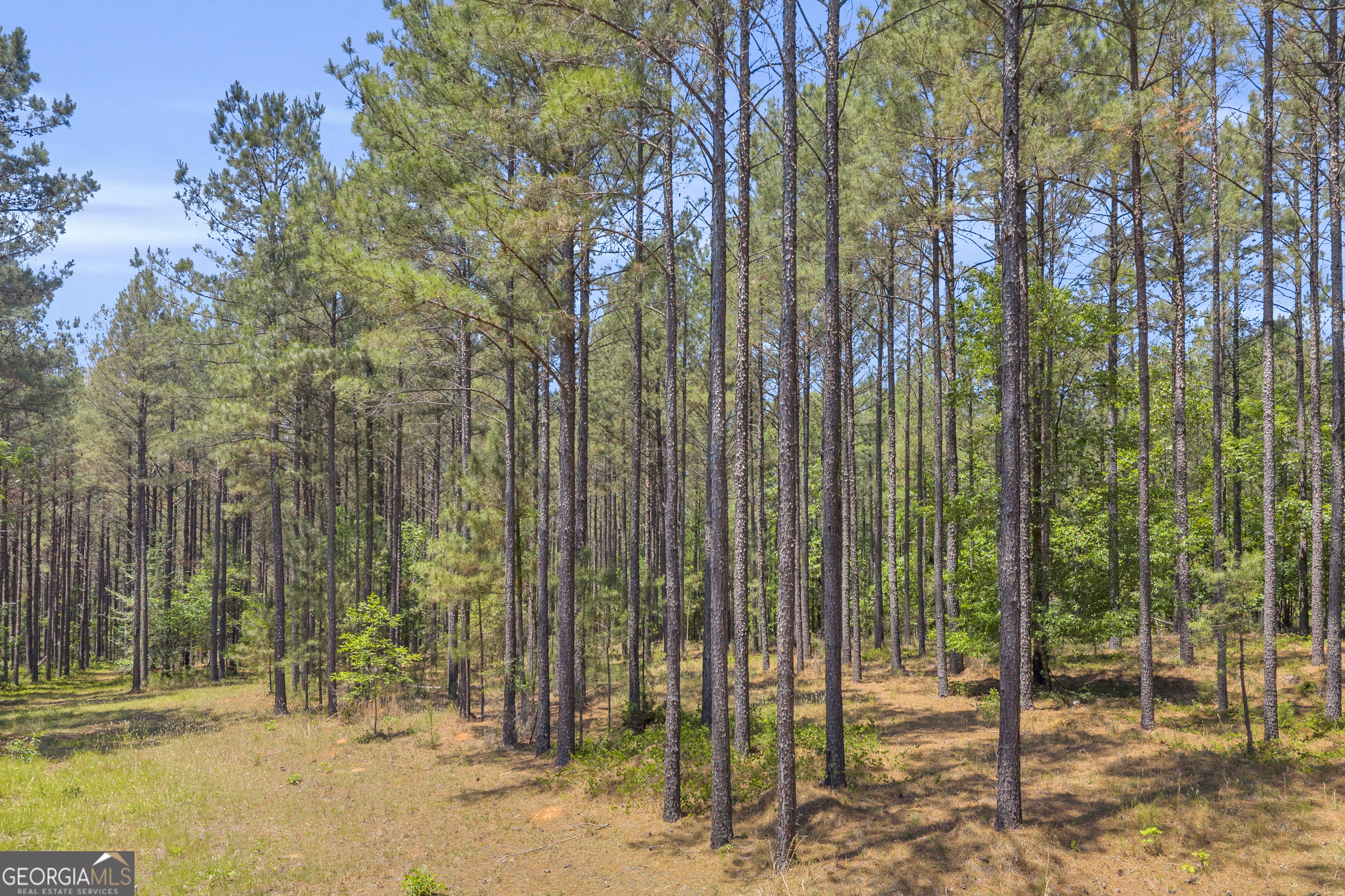 0 Hidden Harbor Road Lincolnton GA 30817