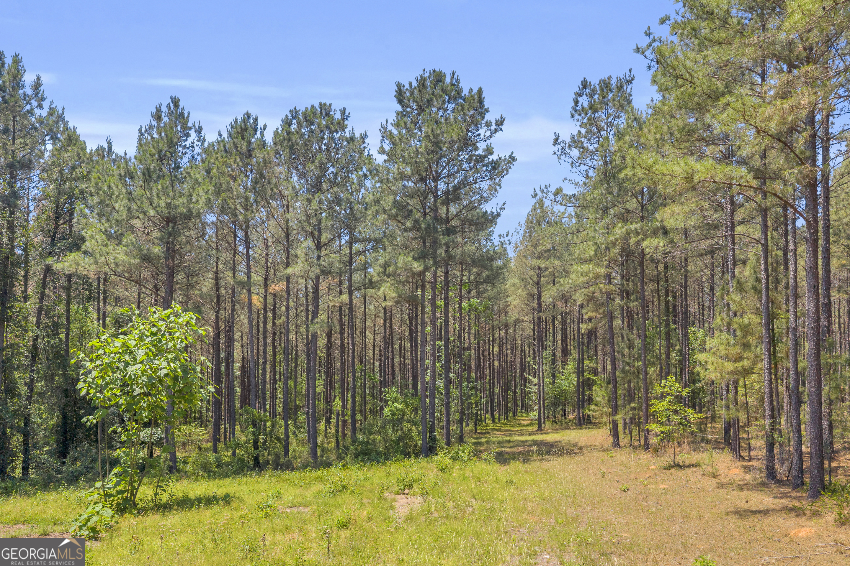 0 Hidden Harbor Road Lincolnton GA 30817