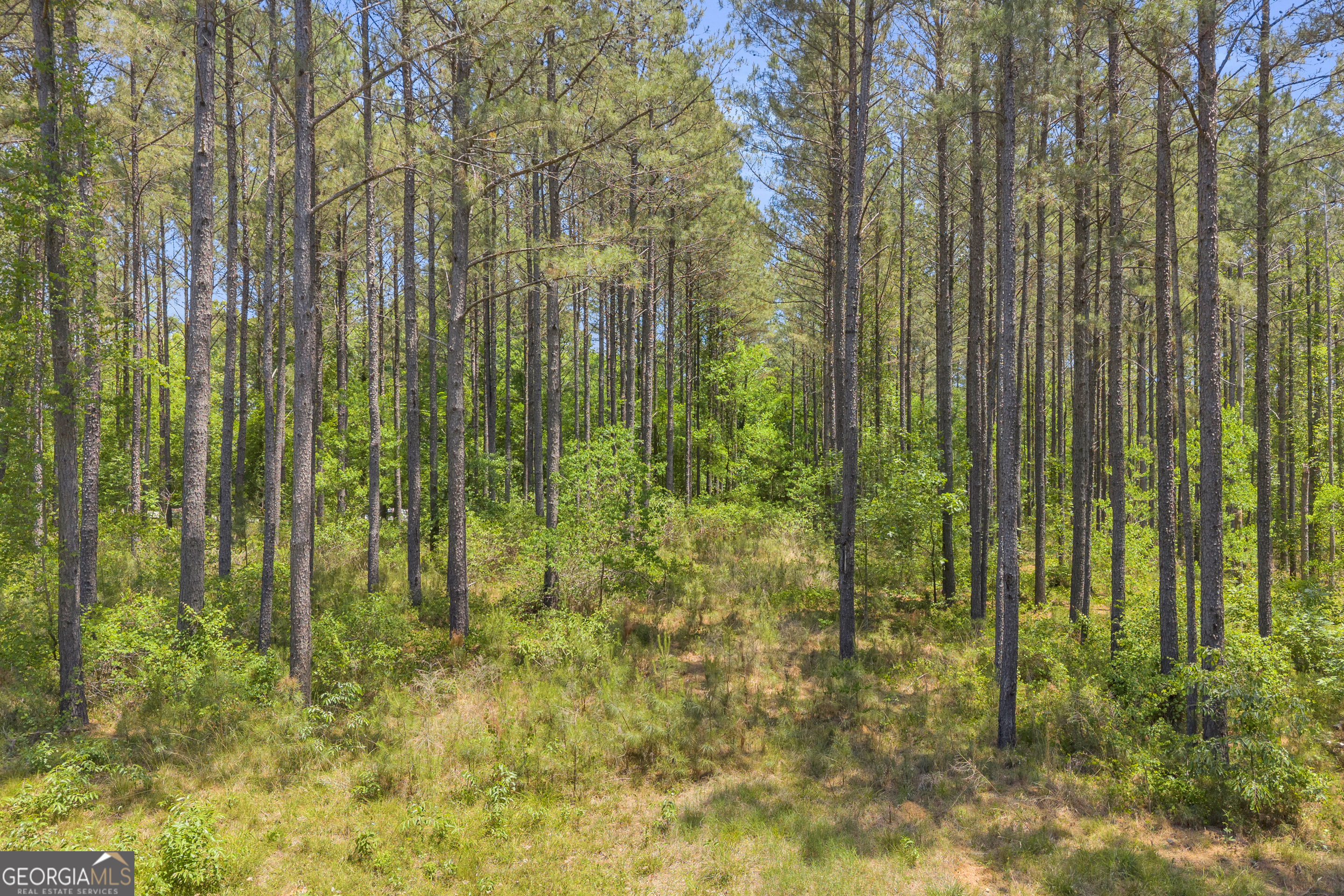 0 Hidden Harbor Road Lincolnton GA 30817