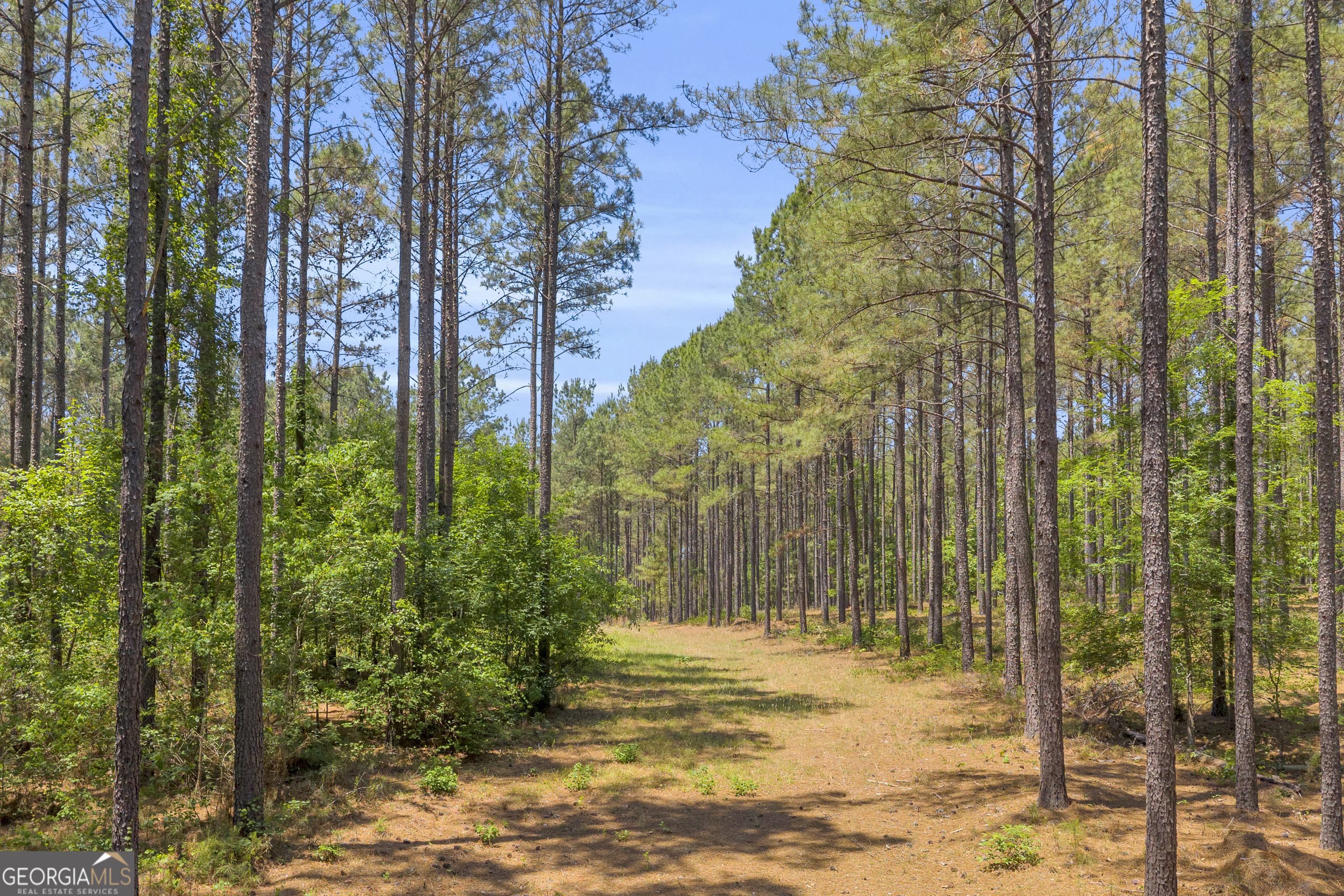 0 Hidden Harbor Road Lincolnton GA 30817