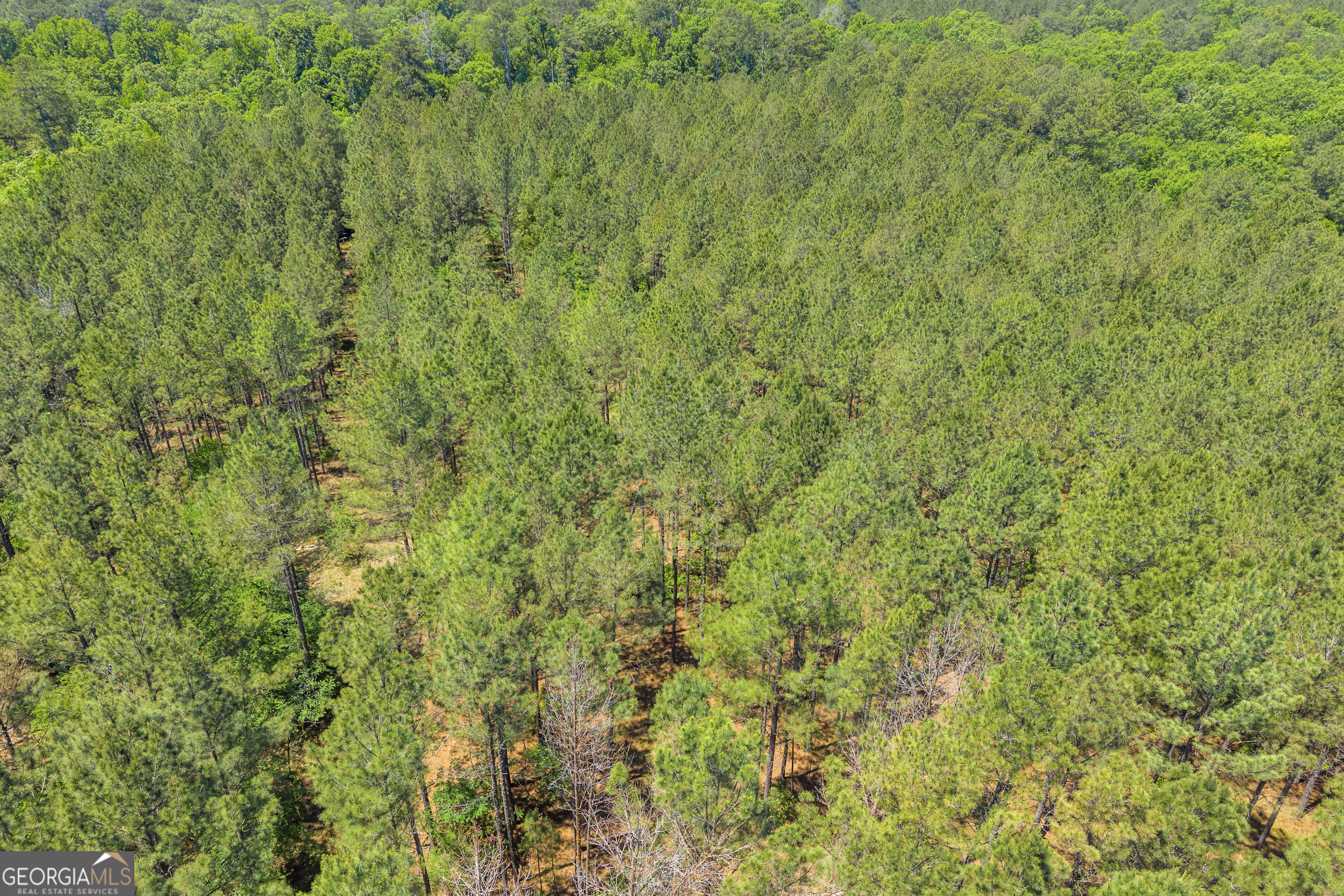 0 Hidden Harbor Road Lincolnton GA 30817