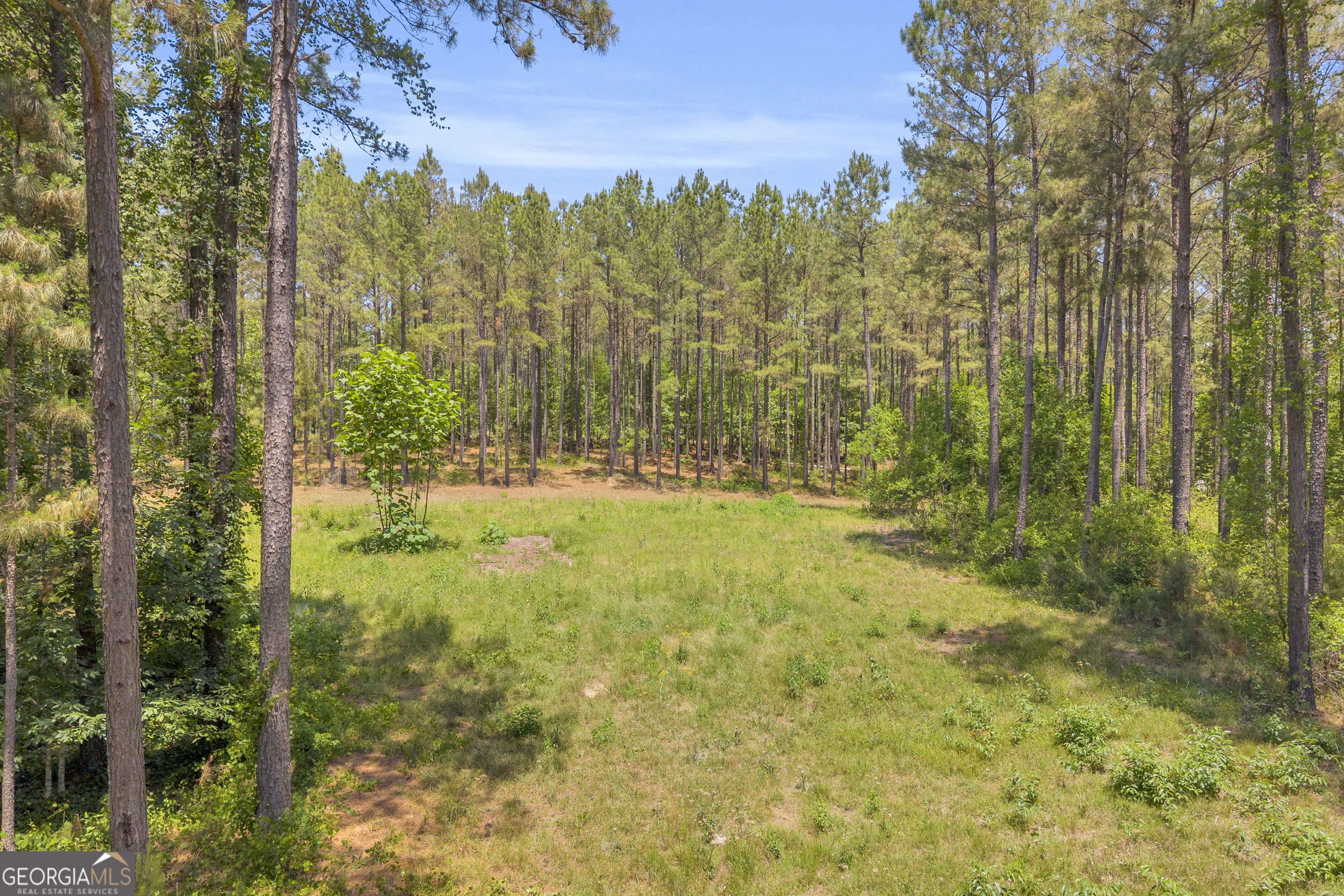 0 Hidden Harbor Road Lincolnton GA 30817