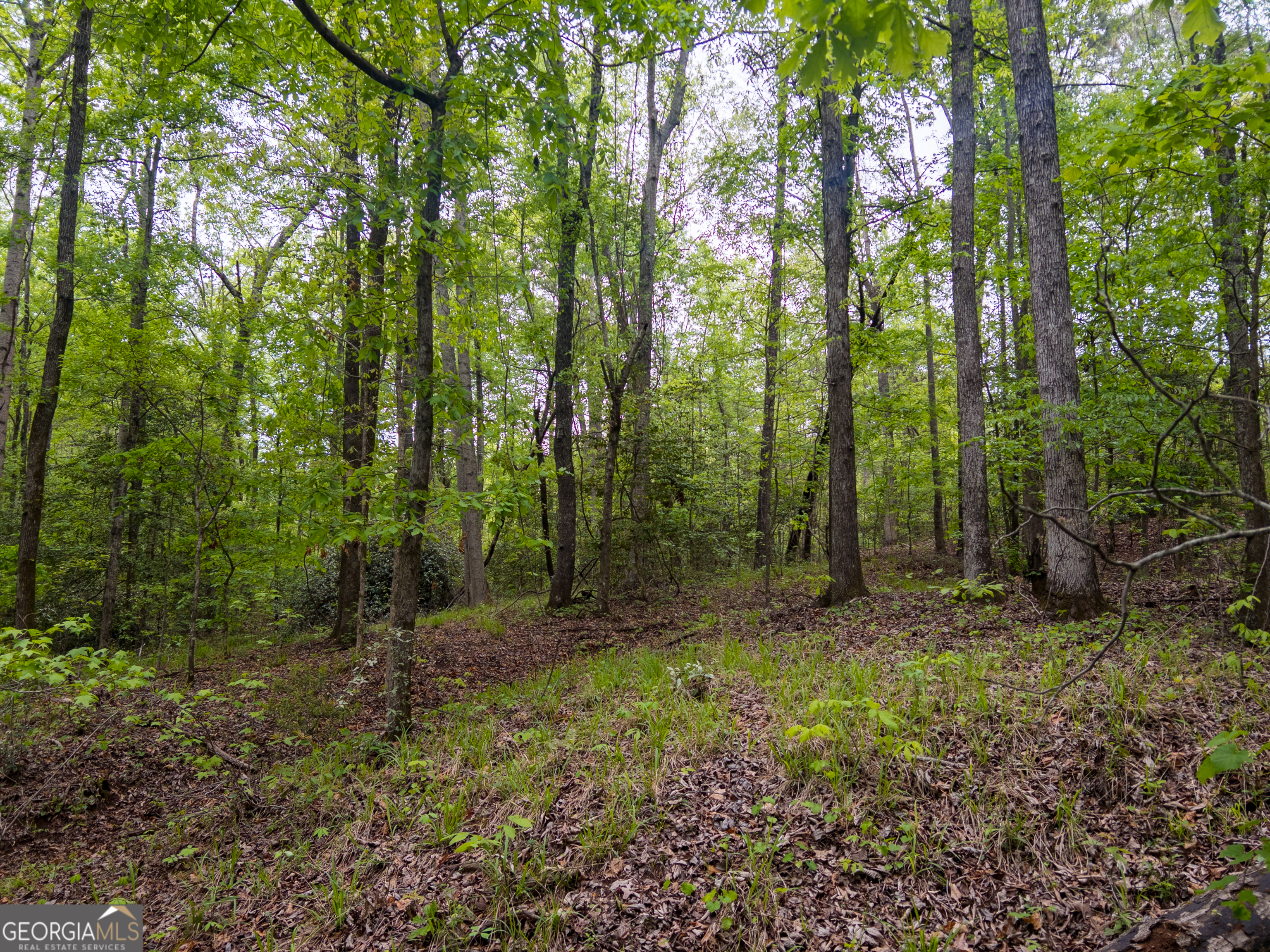 0 Georgia Kaolin Road Dry Branch GA 31020