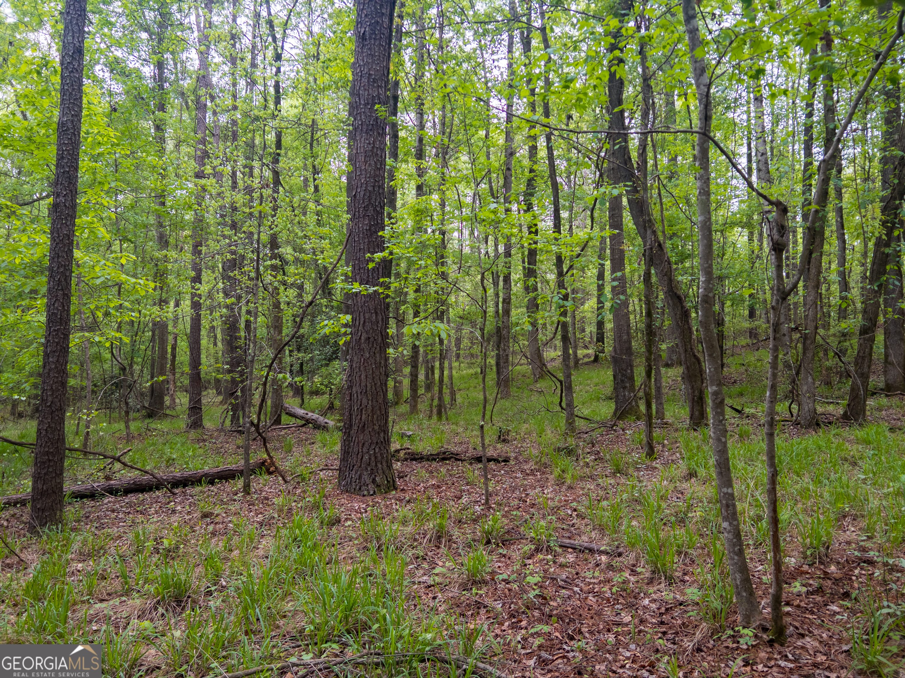 0 Georgia Kaolin Road Dry Branch GA 31020