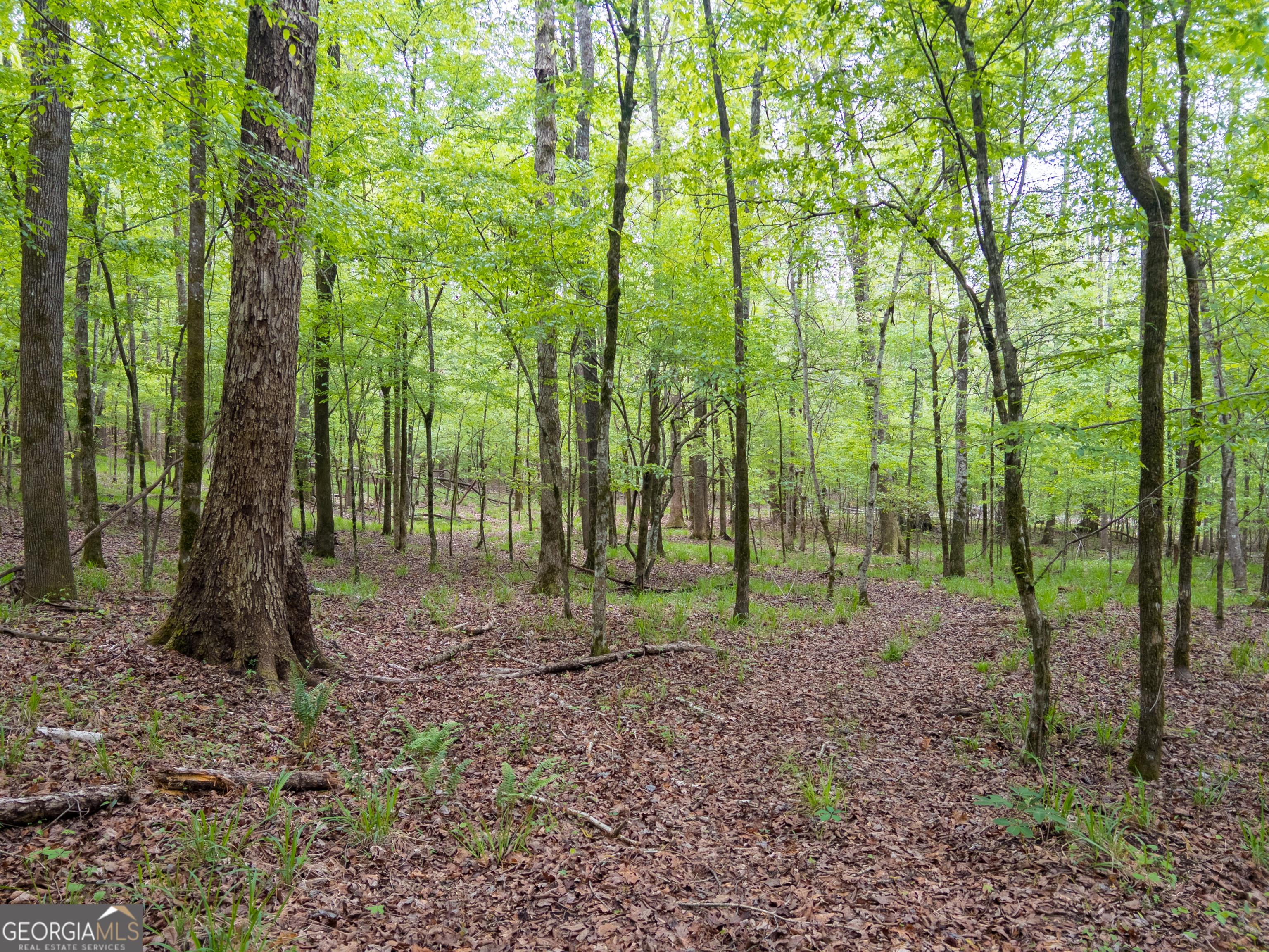 0 Georgia Kaolin Road Dry Branch GA 31020