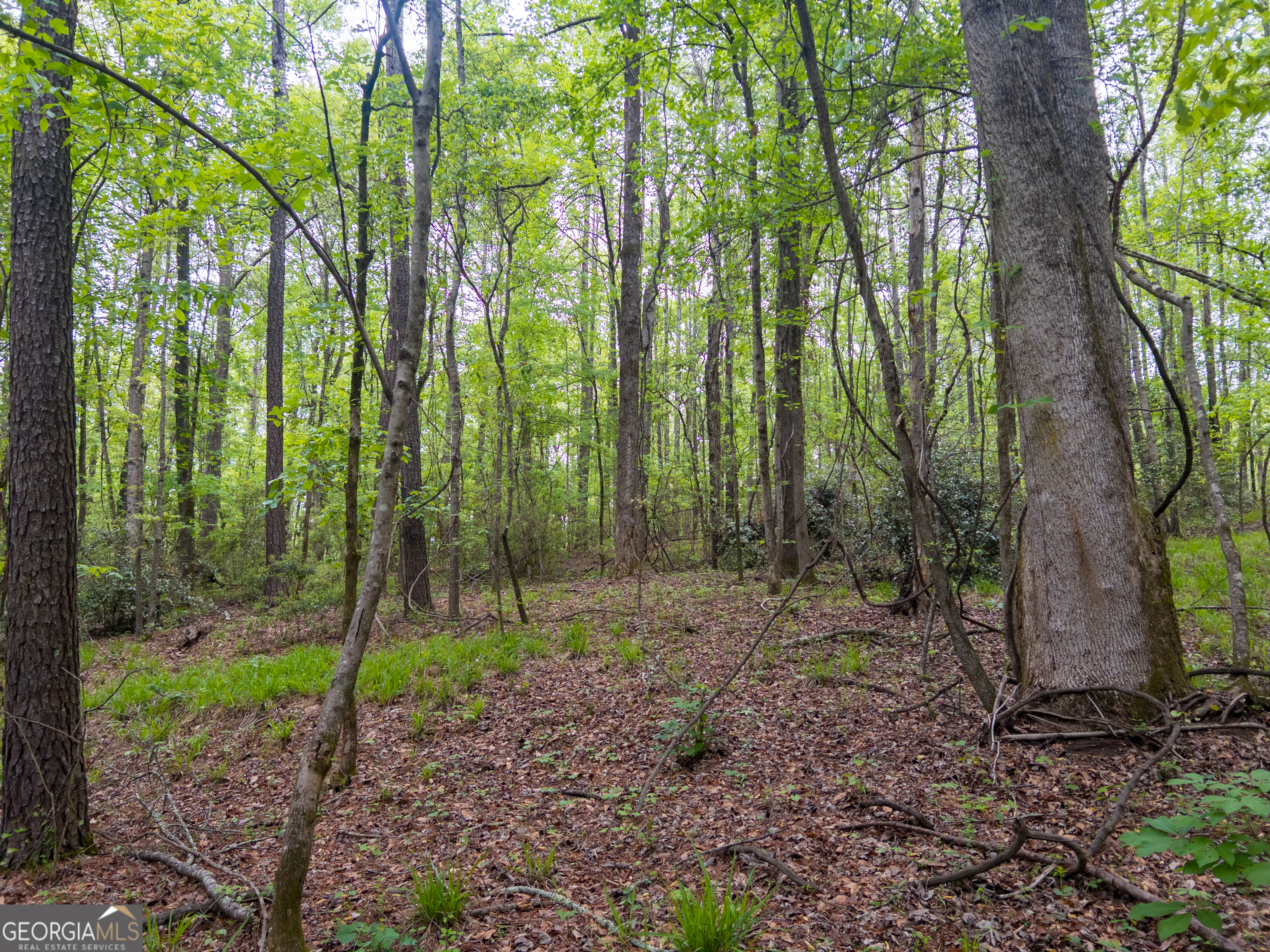 0 Georgia Kaolin Road Dry Branch GA 31020