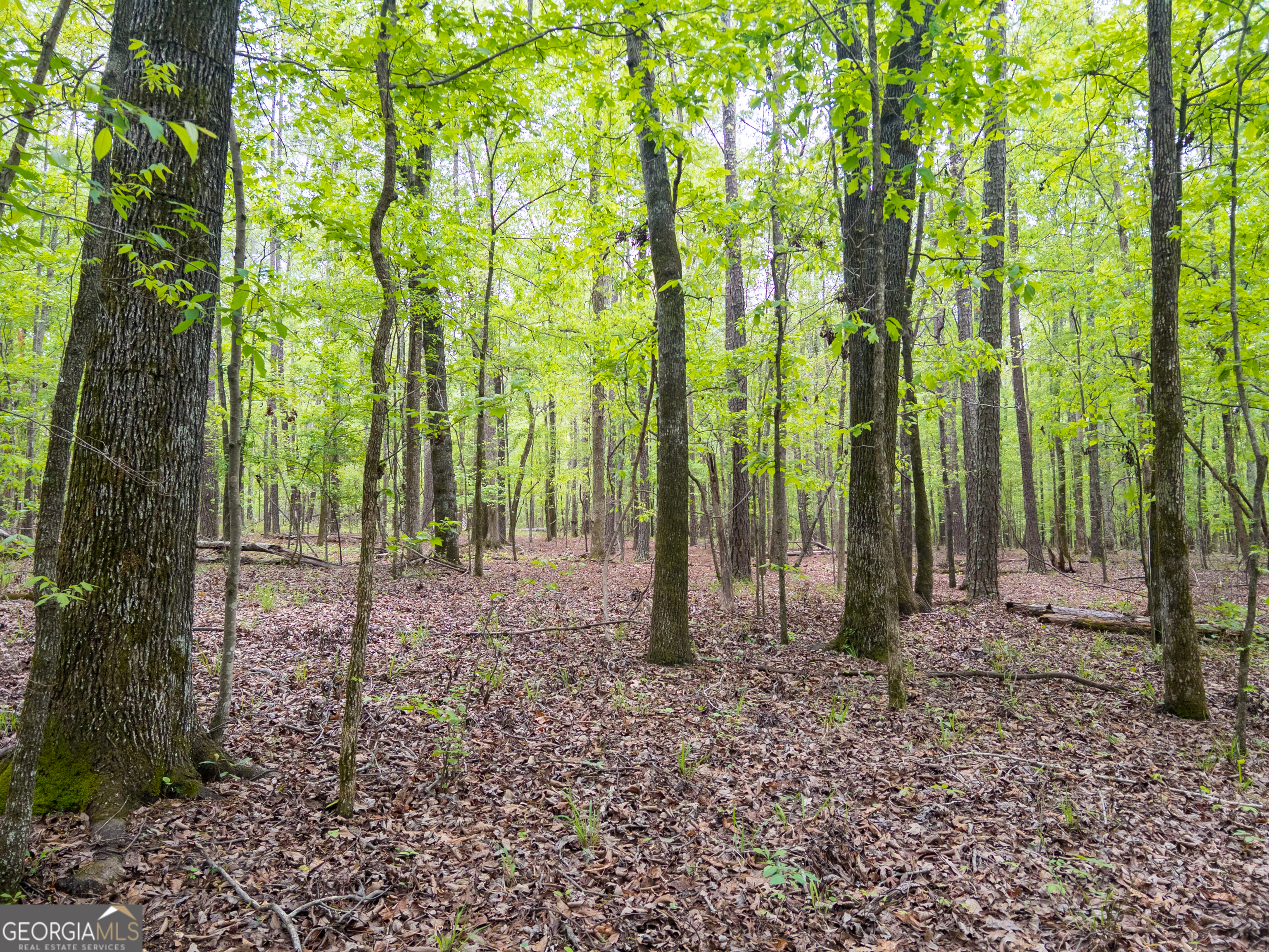 0 Georgia Kaolin Road Dry Branch GA 31020