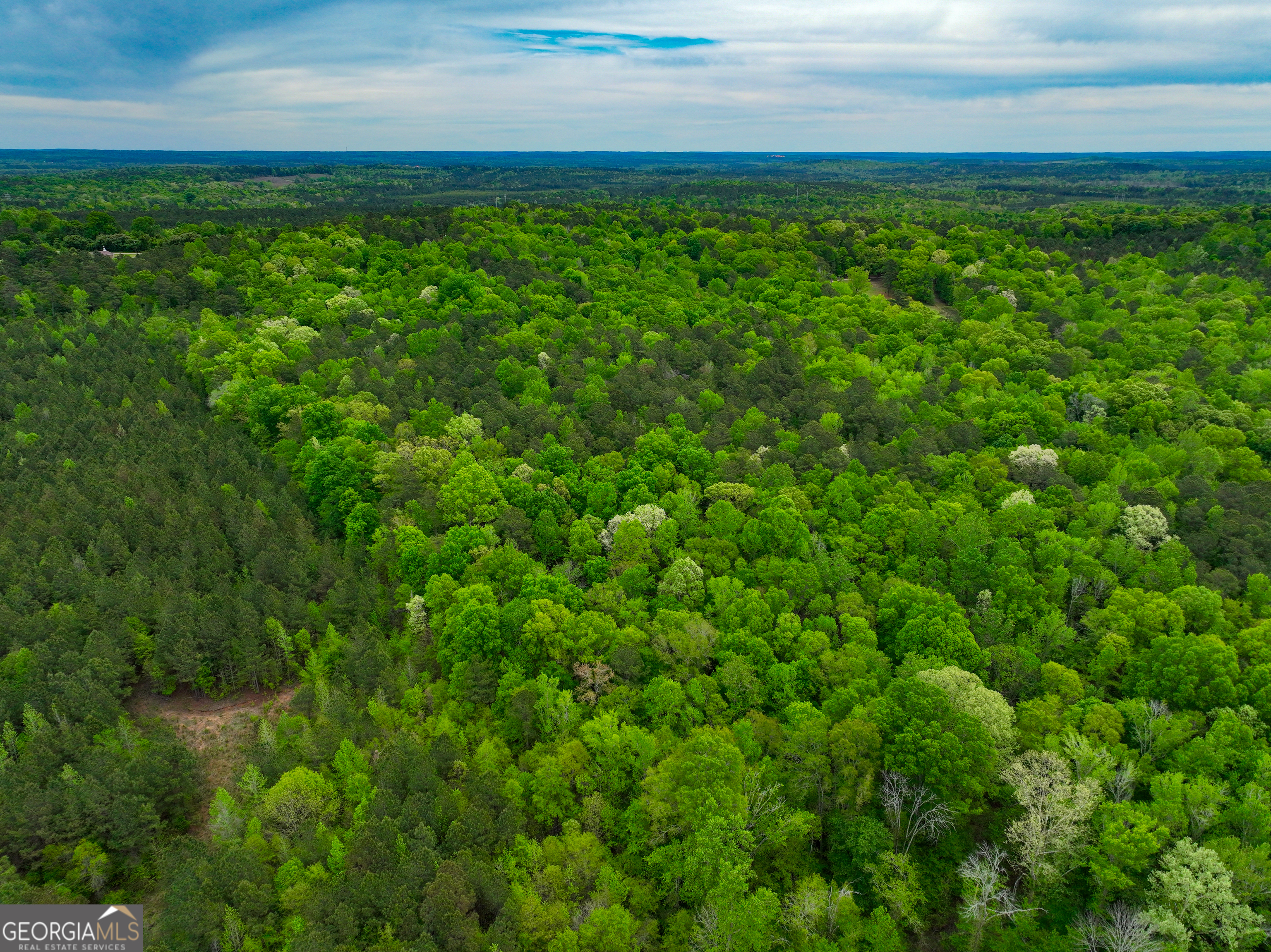 0 Georgia Kaolin Road Dry Branch GA 31020