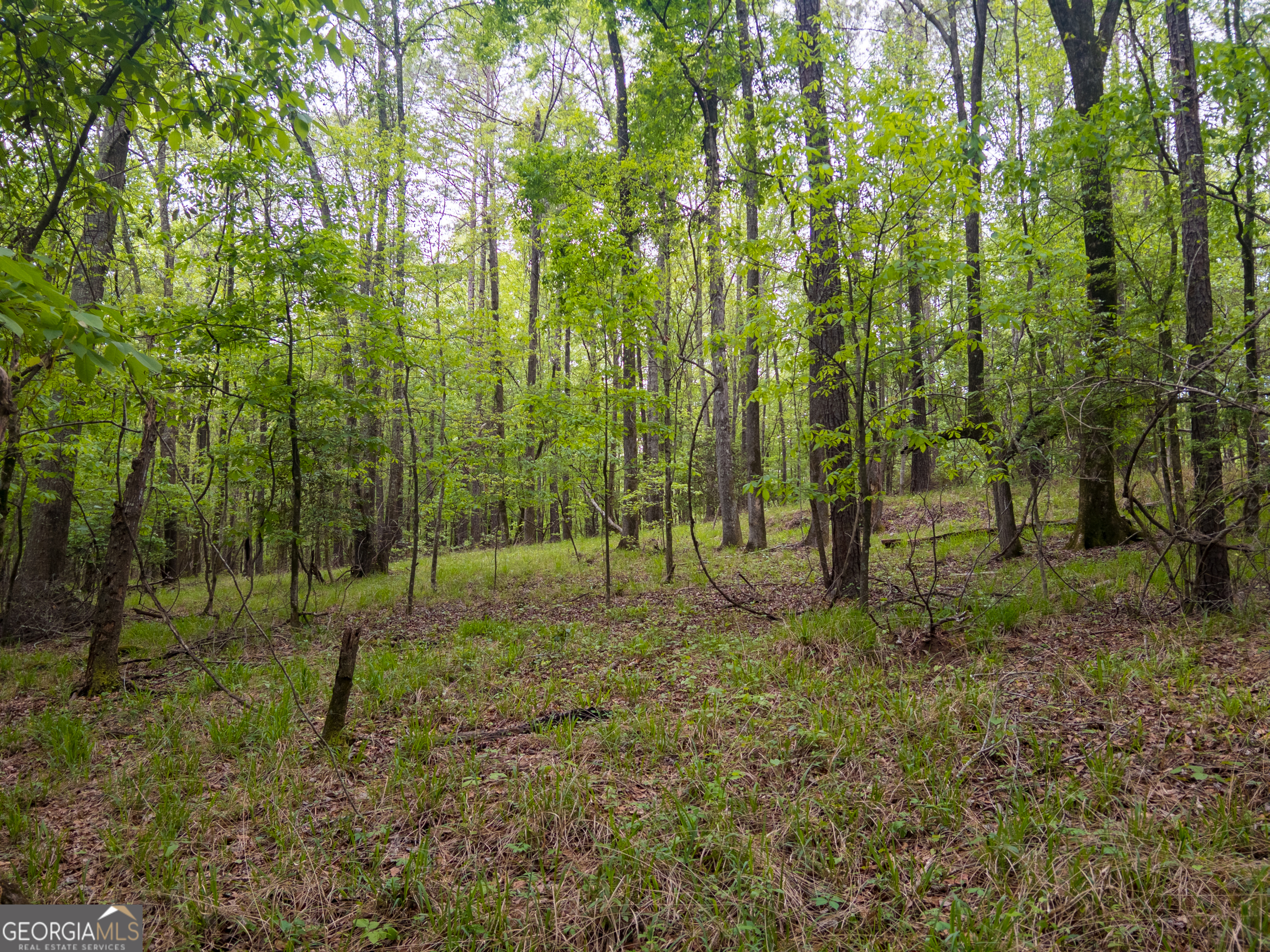 0 Georgia Kaolin Road Dry Branch GA 31020