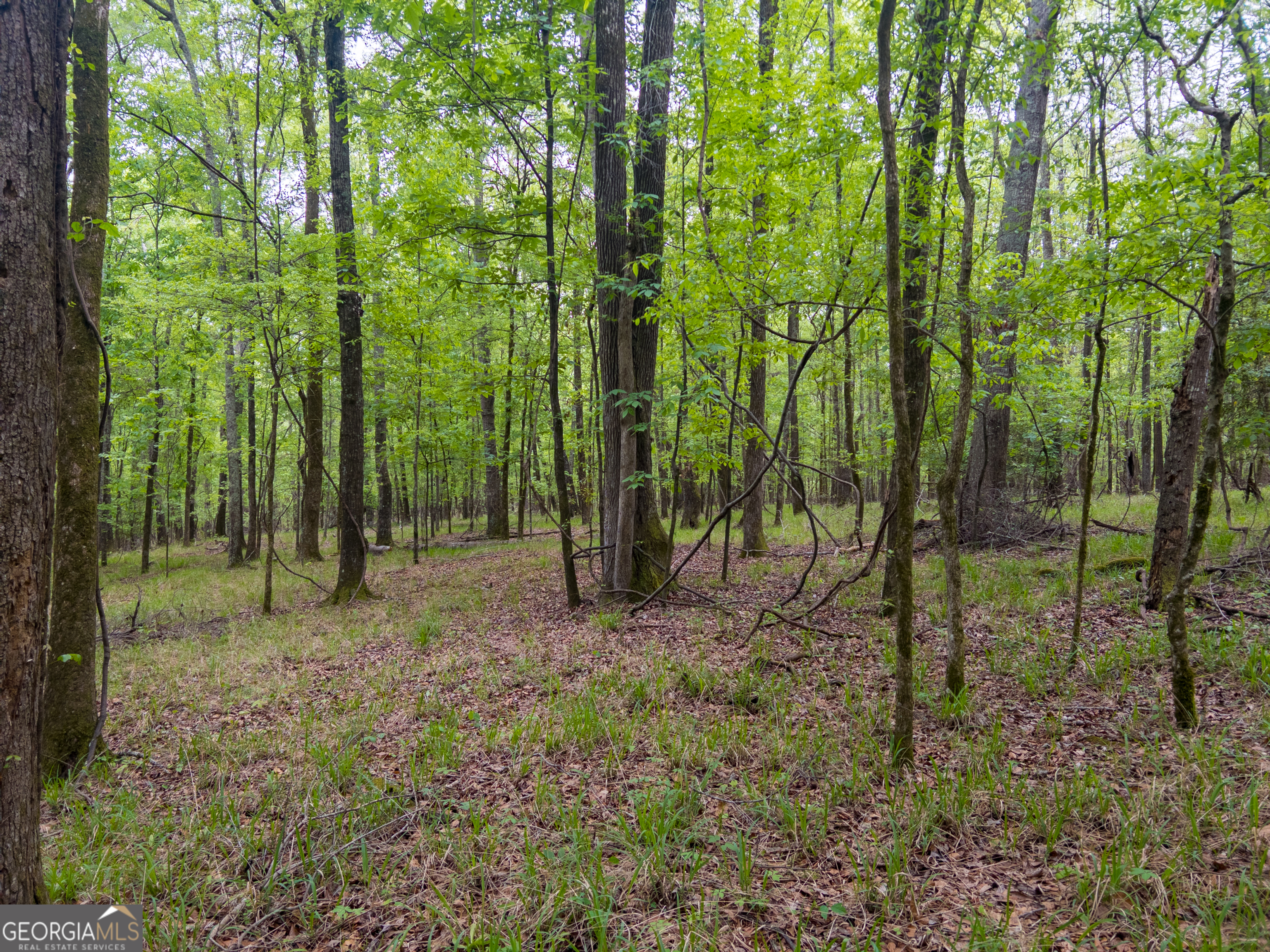 0 Georgia Kaolin Road Dry Branch GA 31020
