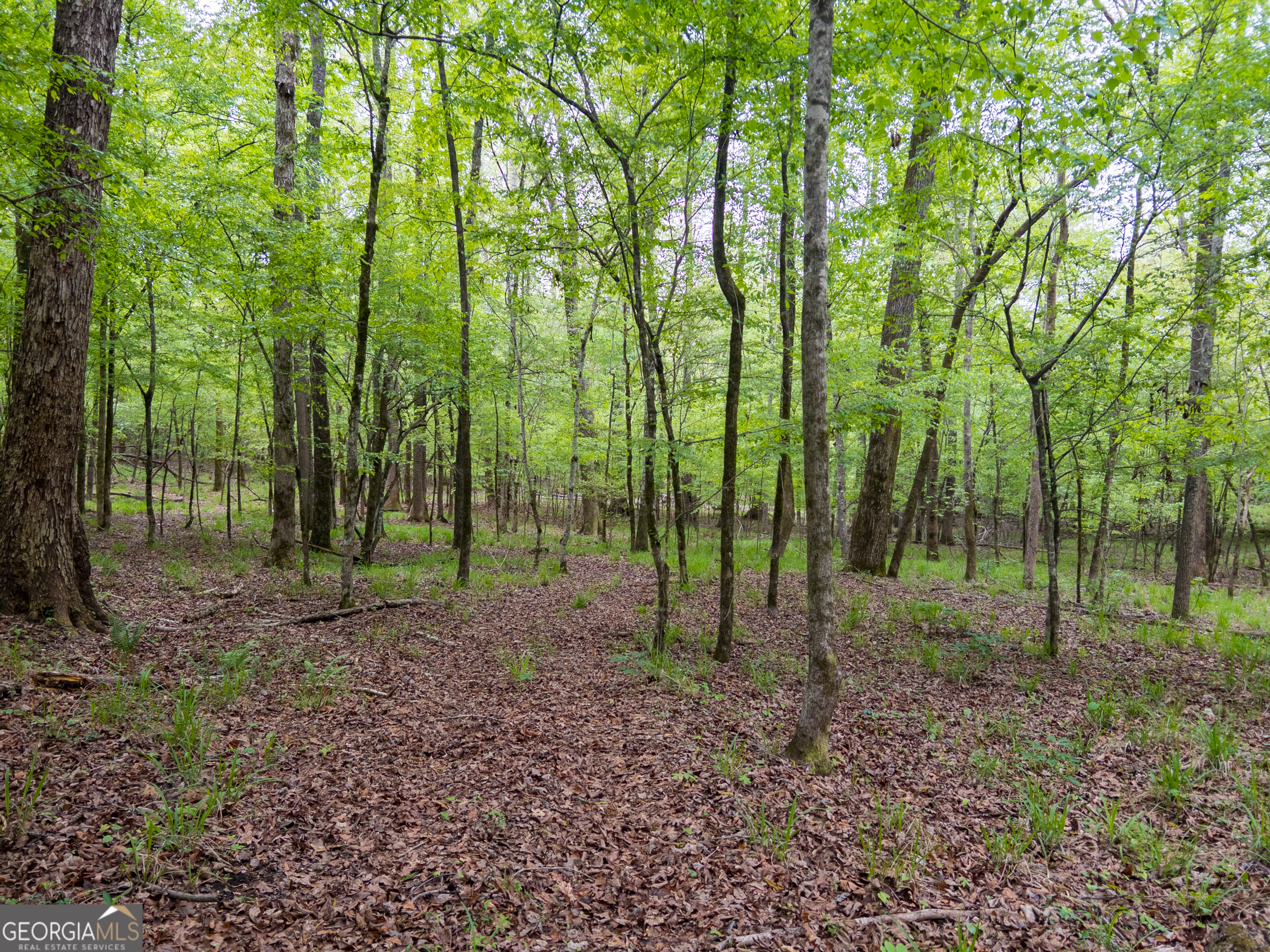 0 Georgia Kaolin Road Dry Branch GA 31020