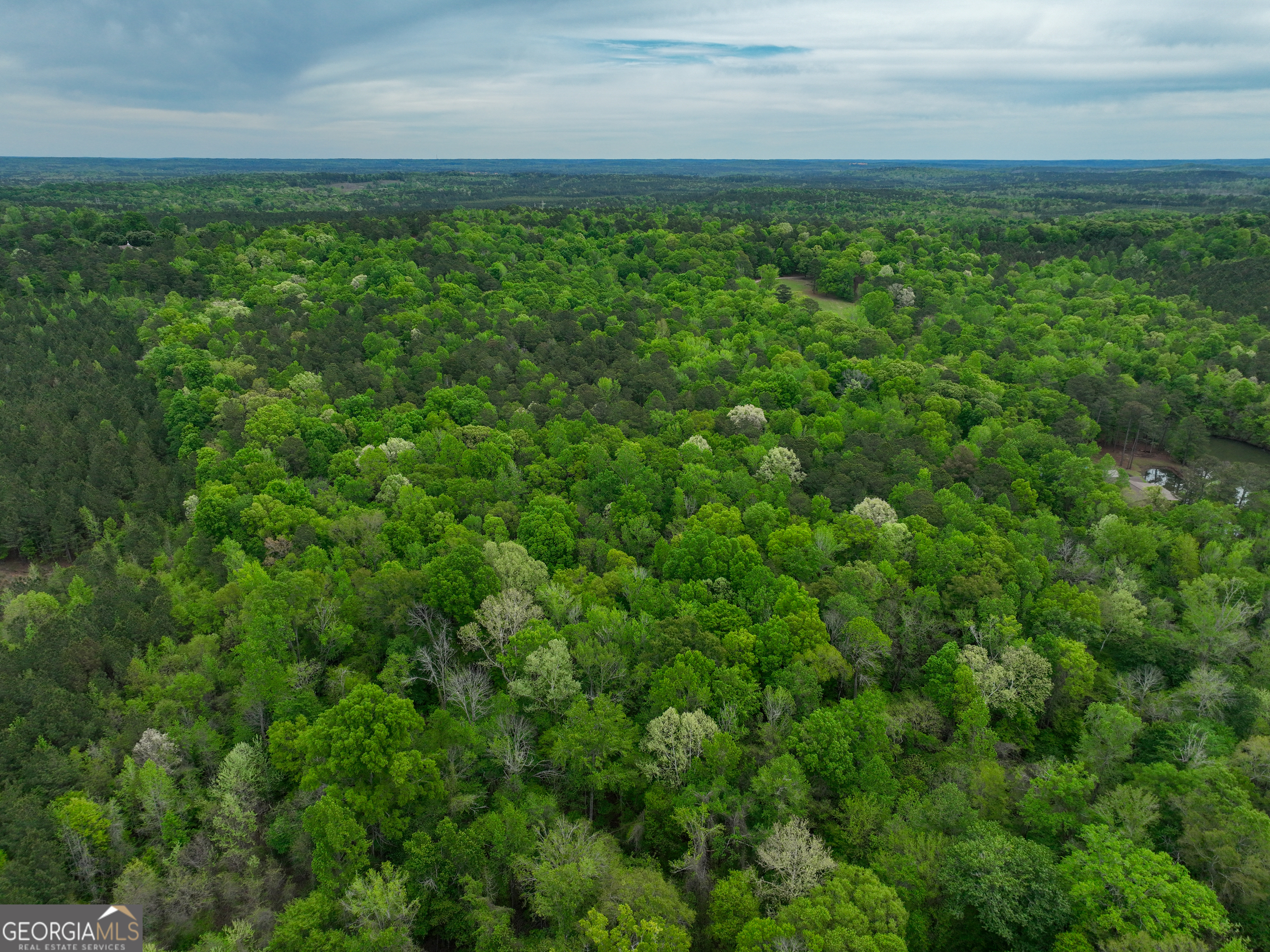 0 Georgia Kaolin Road Dry Branch GA 31020