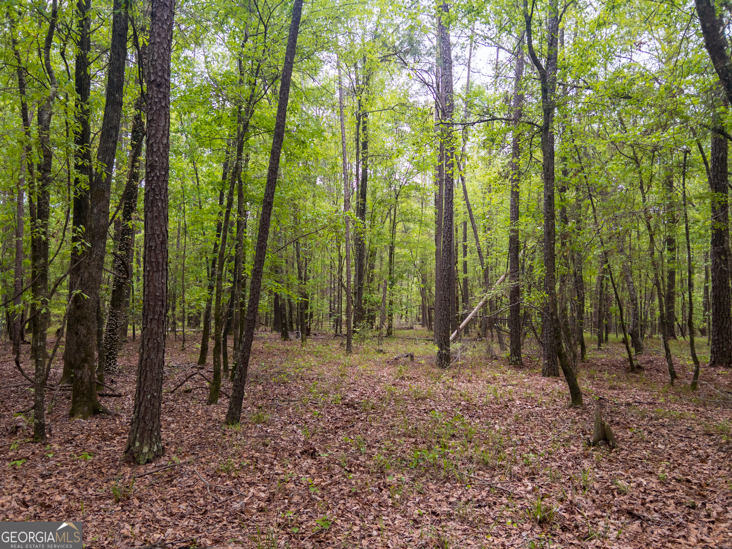 0 Georgia Kaolin Road Dry Branch GA 31020