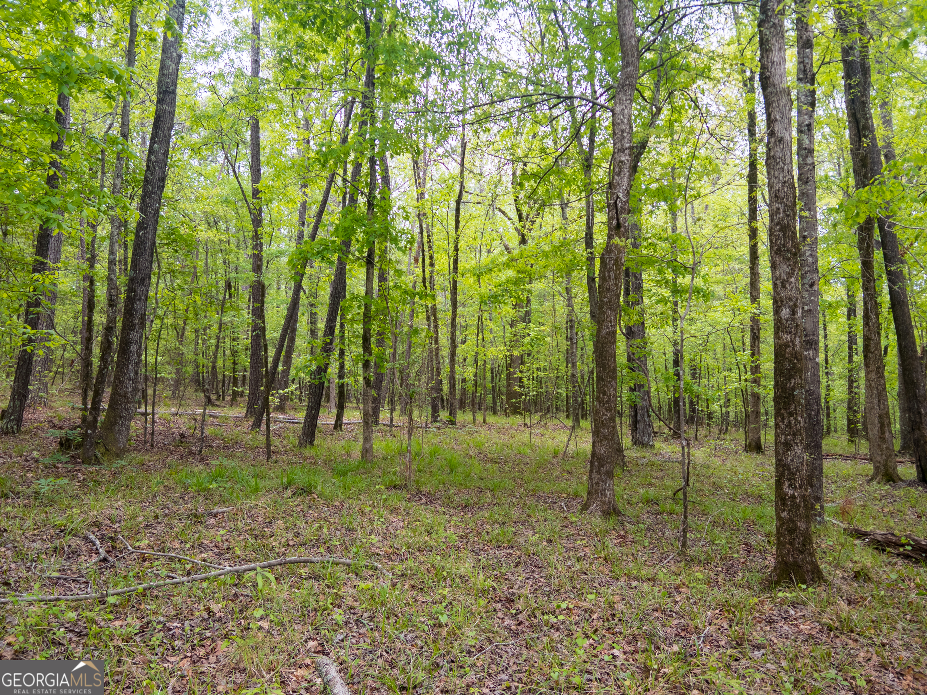 0 Georgia Kaolin Road Dry Branch GA 31020