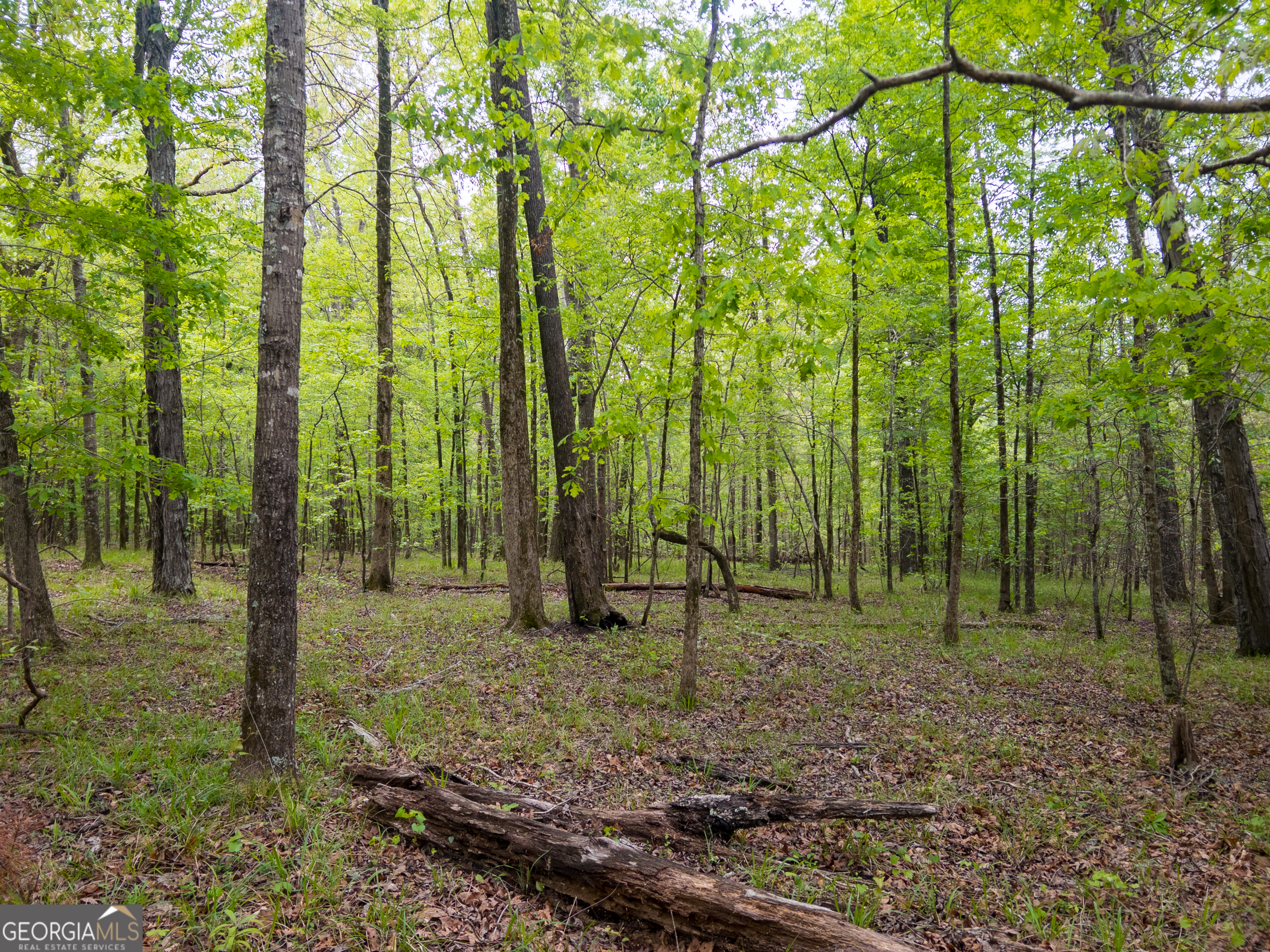0 Georgia Kaolin Road Dry Branch GA 31020