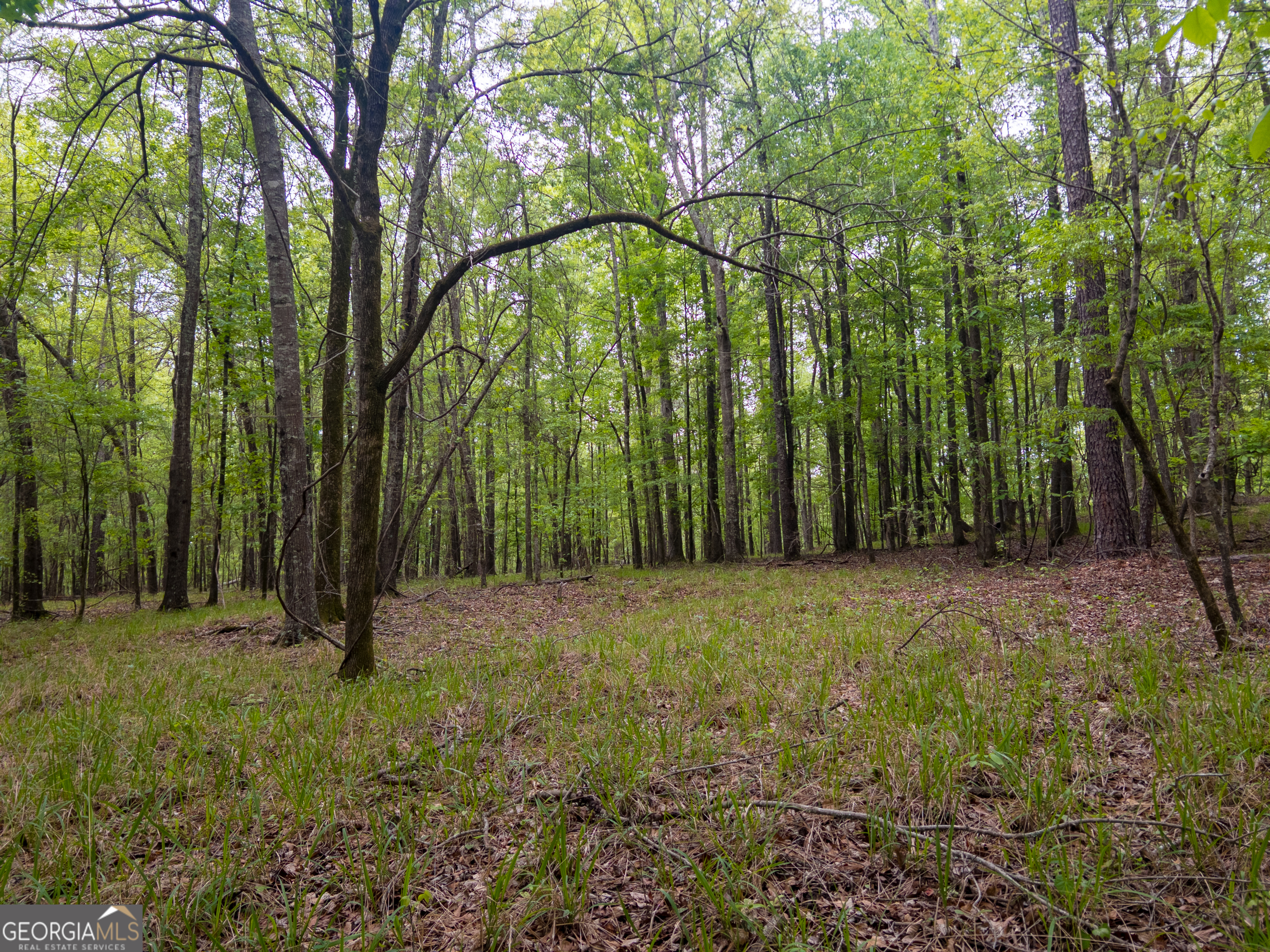 0 Georgia Kaolin Road Dry Branch GA 31020