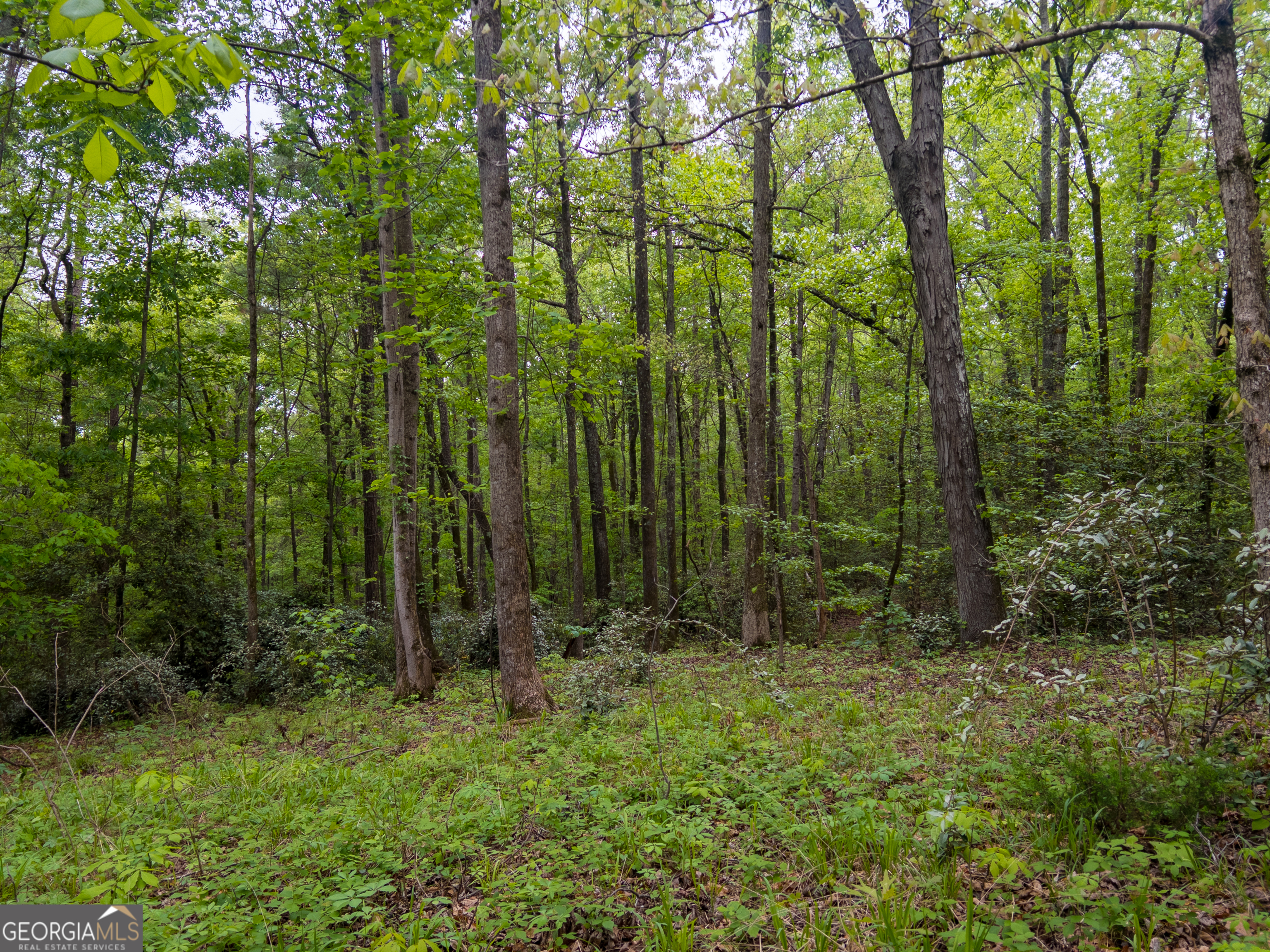 0 Georgia Kaolin Road Dry Branch GA 31020